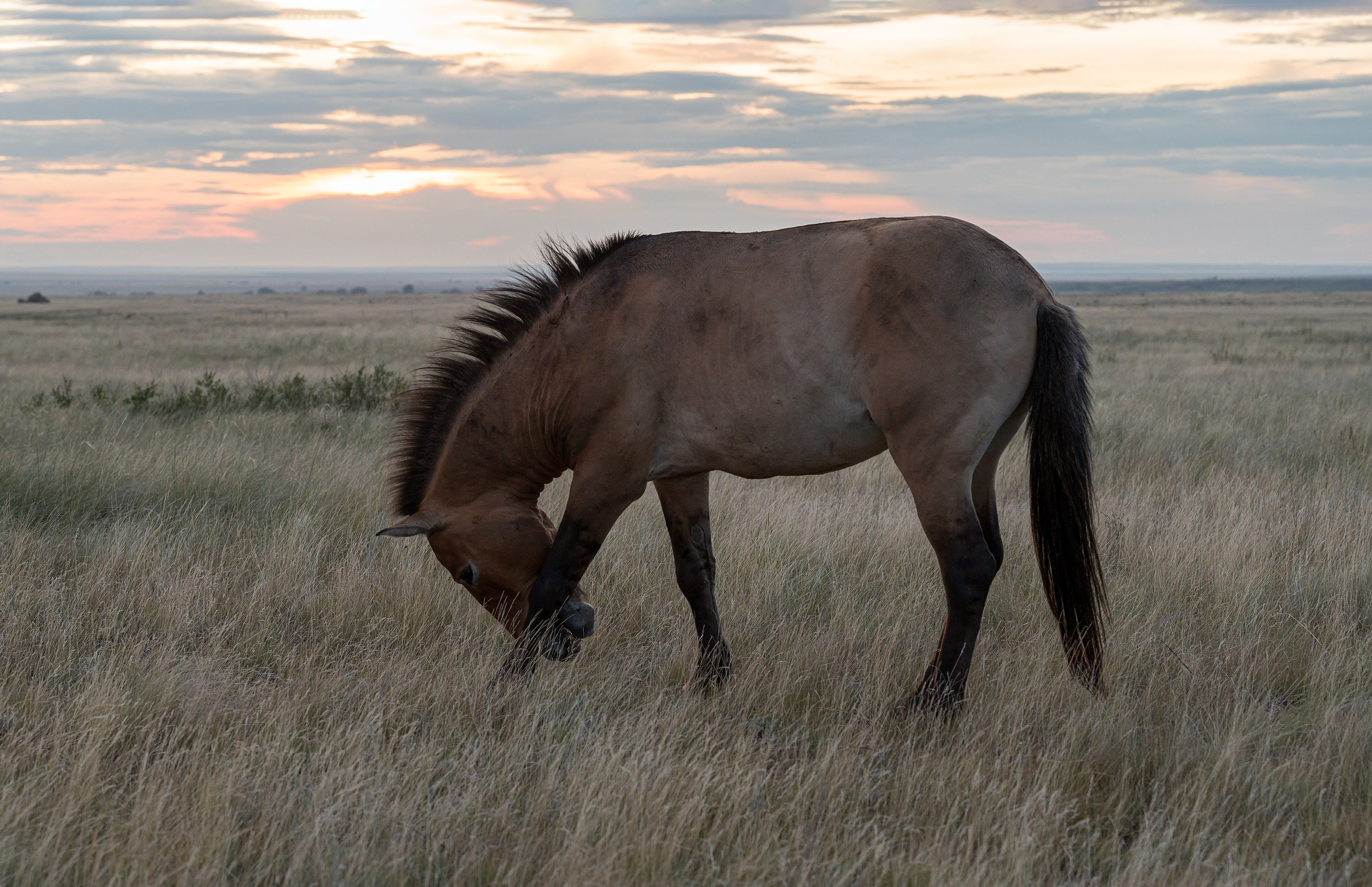 В природе. Портретный фотограф в Челябинске Катерина Руди