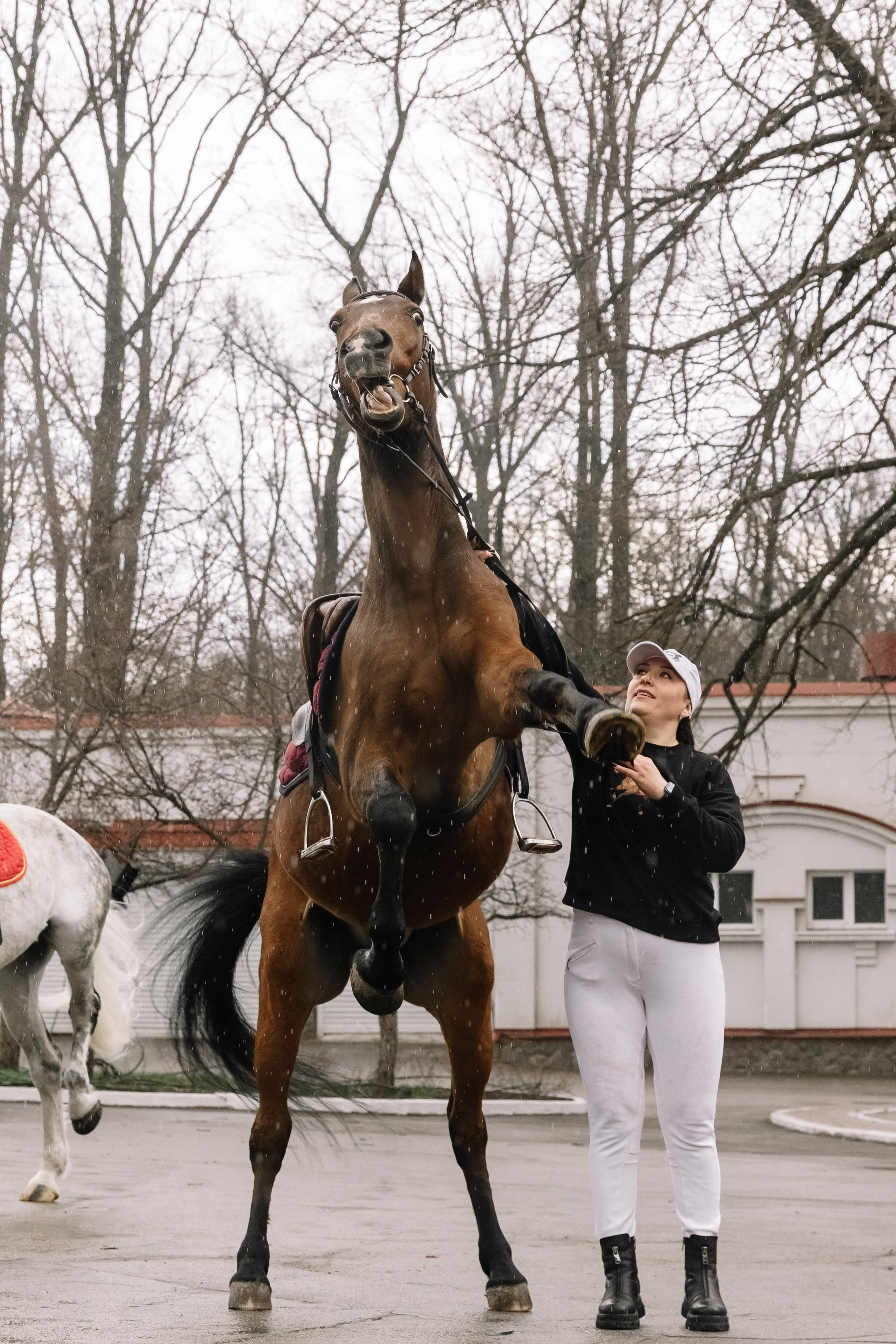 День Орловского рысака. Парк-отель Яр. Свадебный, репортажный фотограф Ирина Шкурина