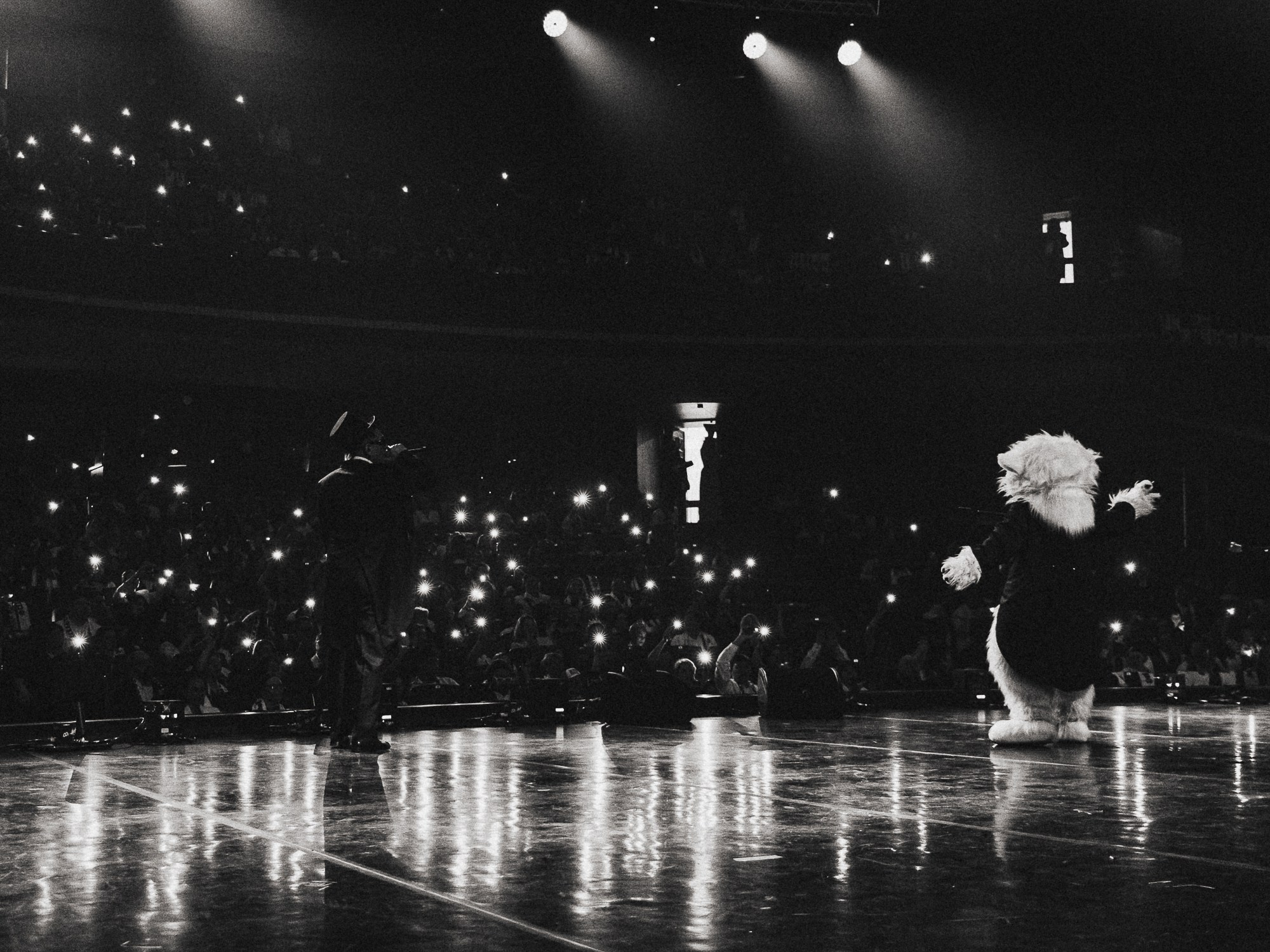 20260308 Traktor x Metalurg. Фотограф Иван Гуляев