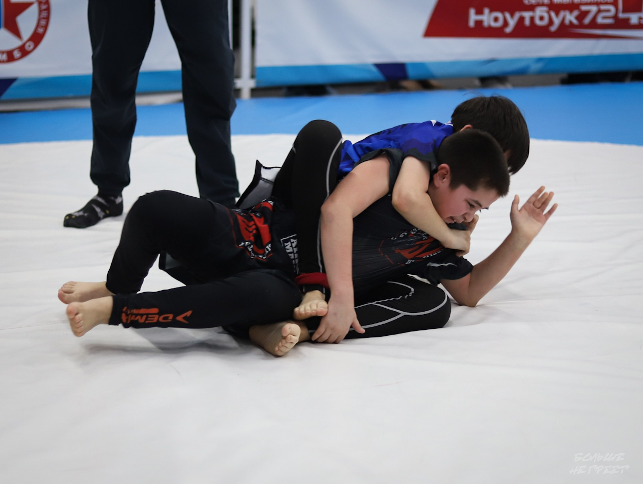 GORILLA PRIDE CUP. Больше не греет