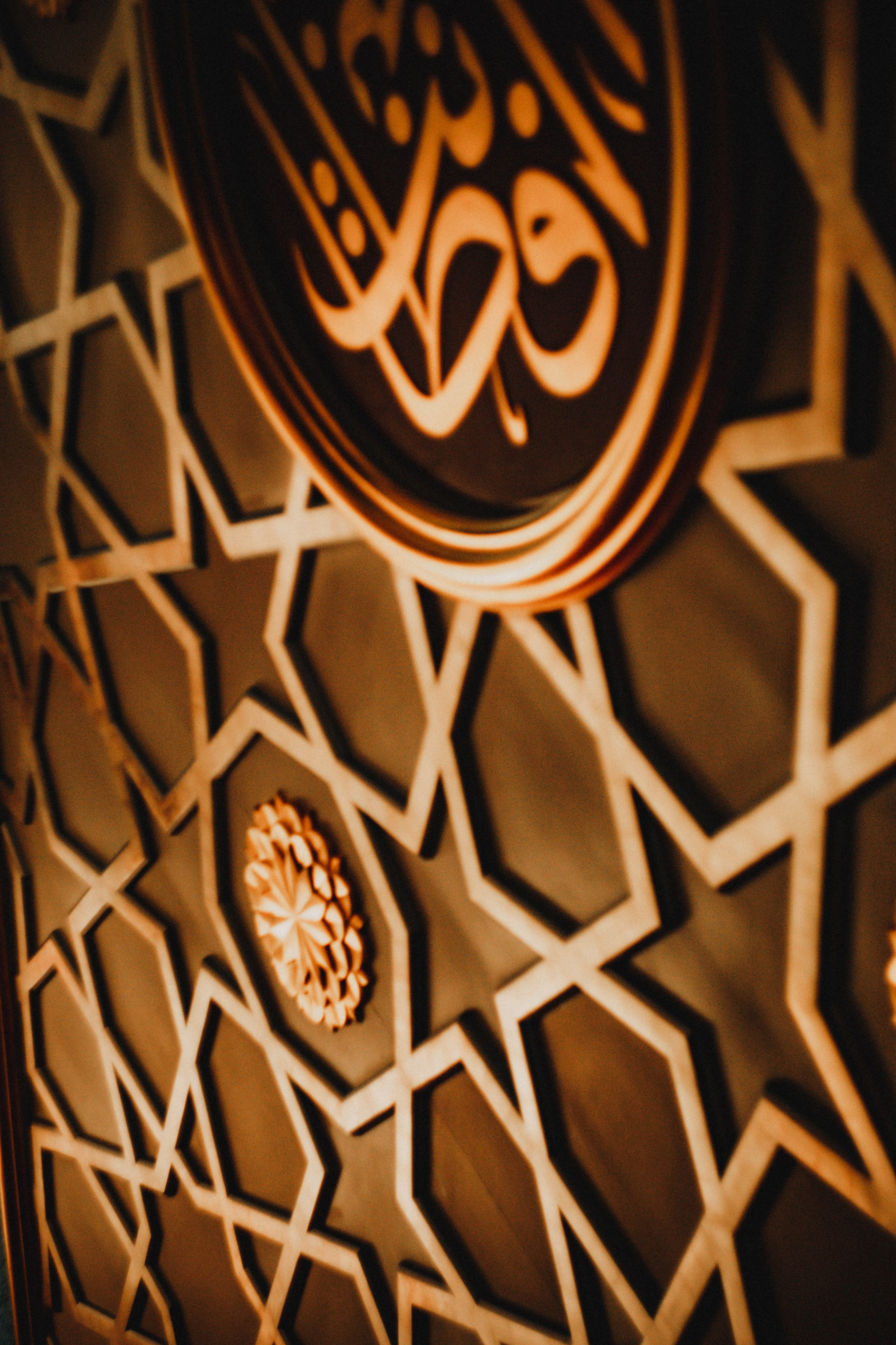 Дагестан. Чечня. 2024. Фотограф в Нижнем Новгороде