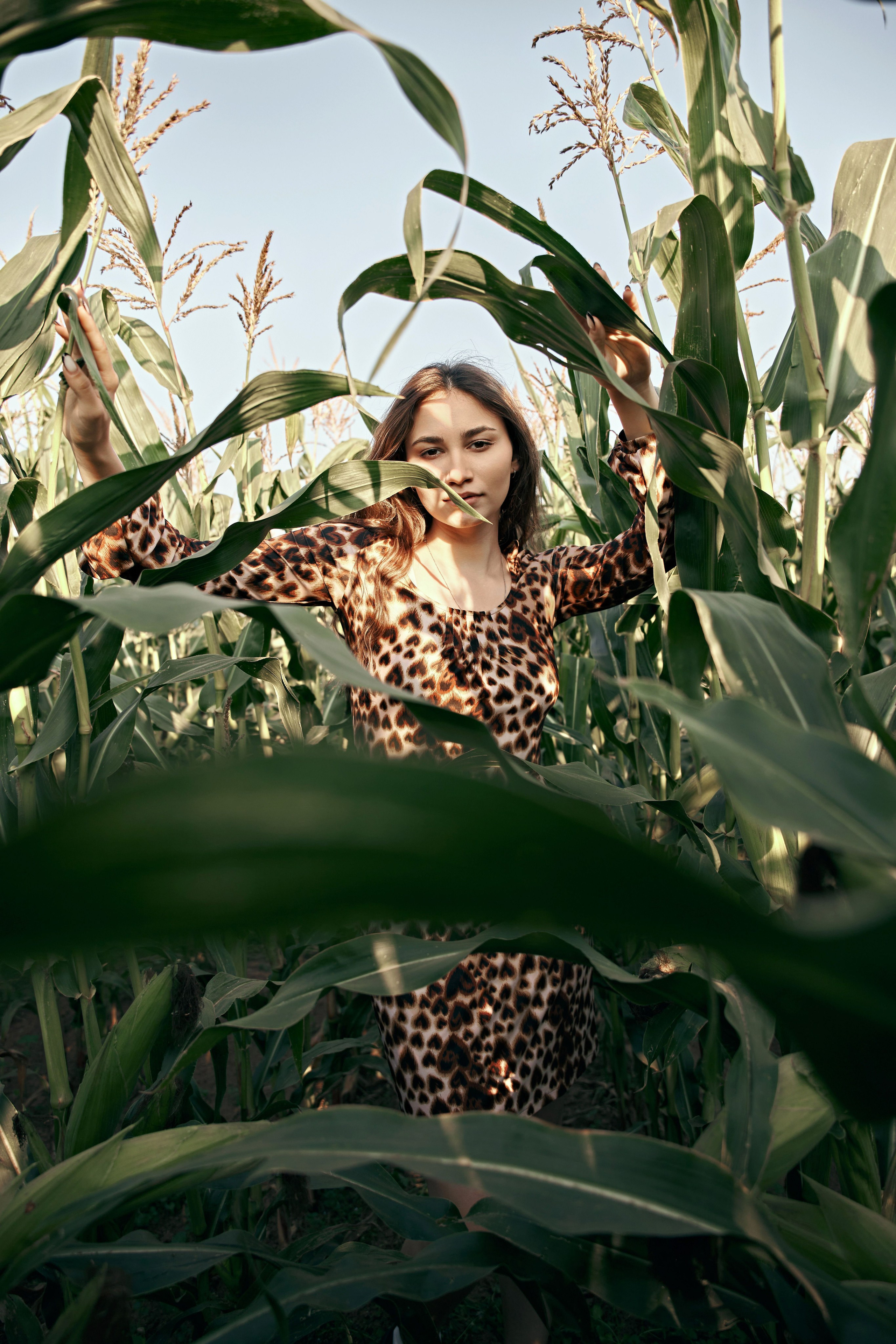 Fashion на кукурузном поле. Фотограф Алексей Яковлев