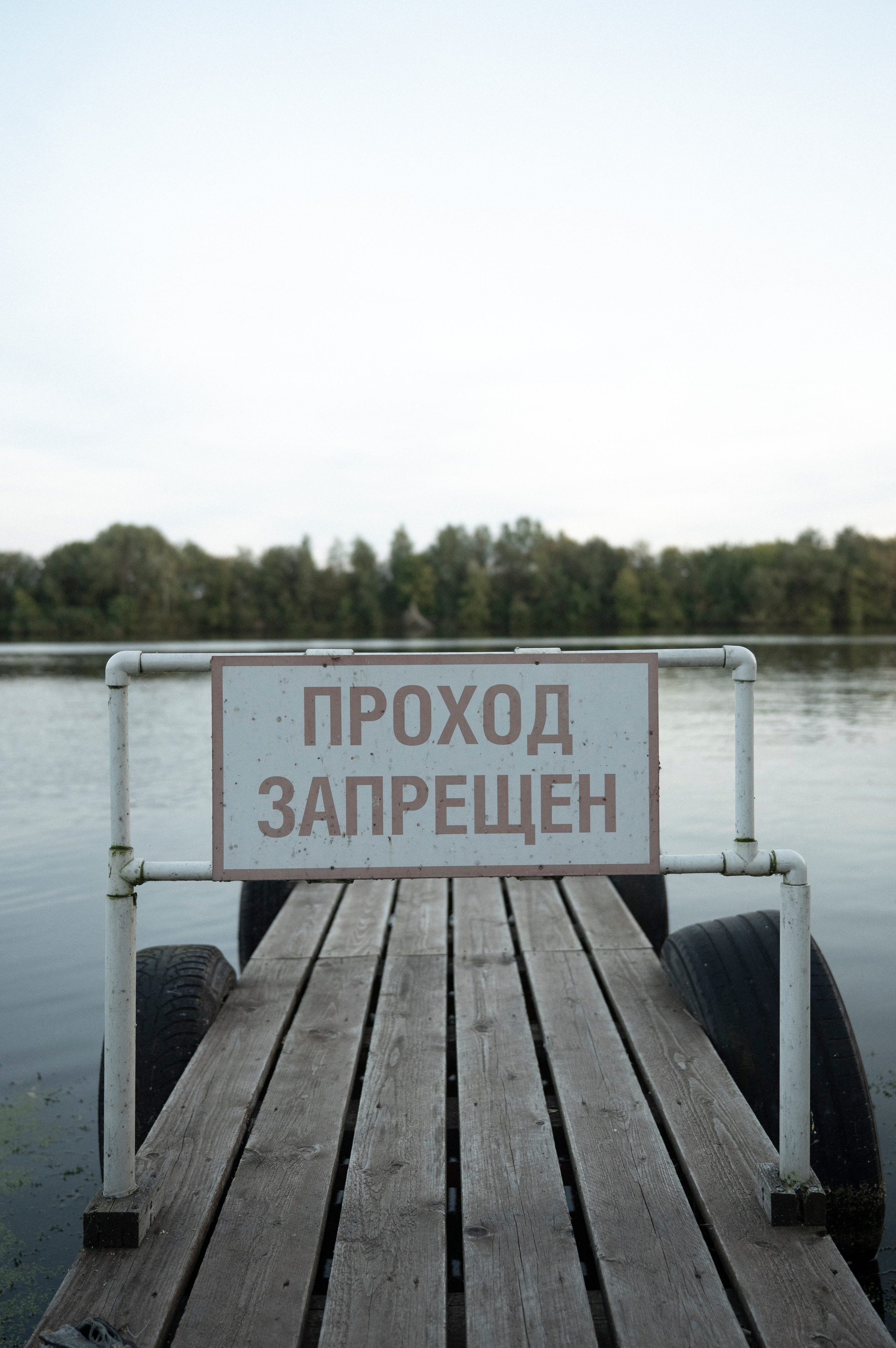 Мы одна большая семья. Фотограф Евгения Мирошниченко