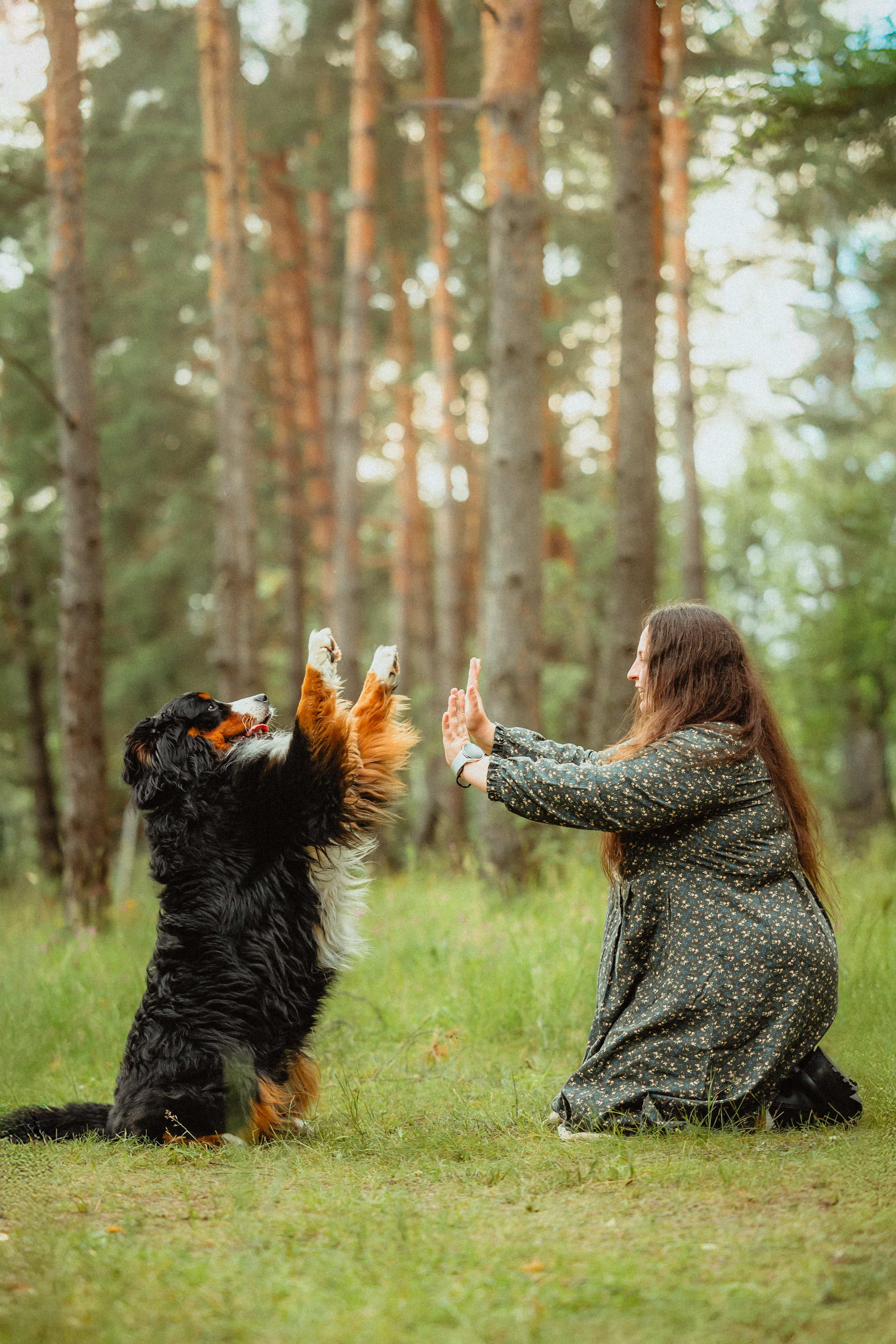Выездной дог-тренинг от школы «Шерсть имею»