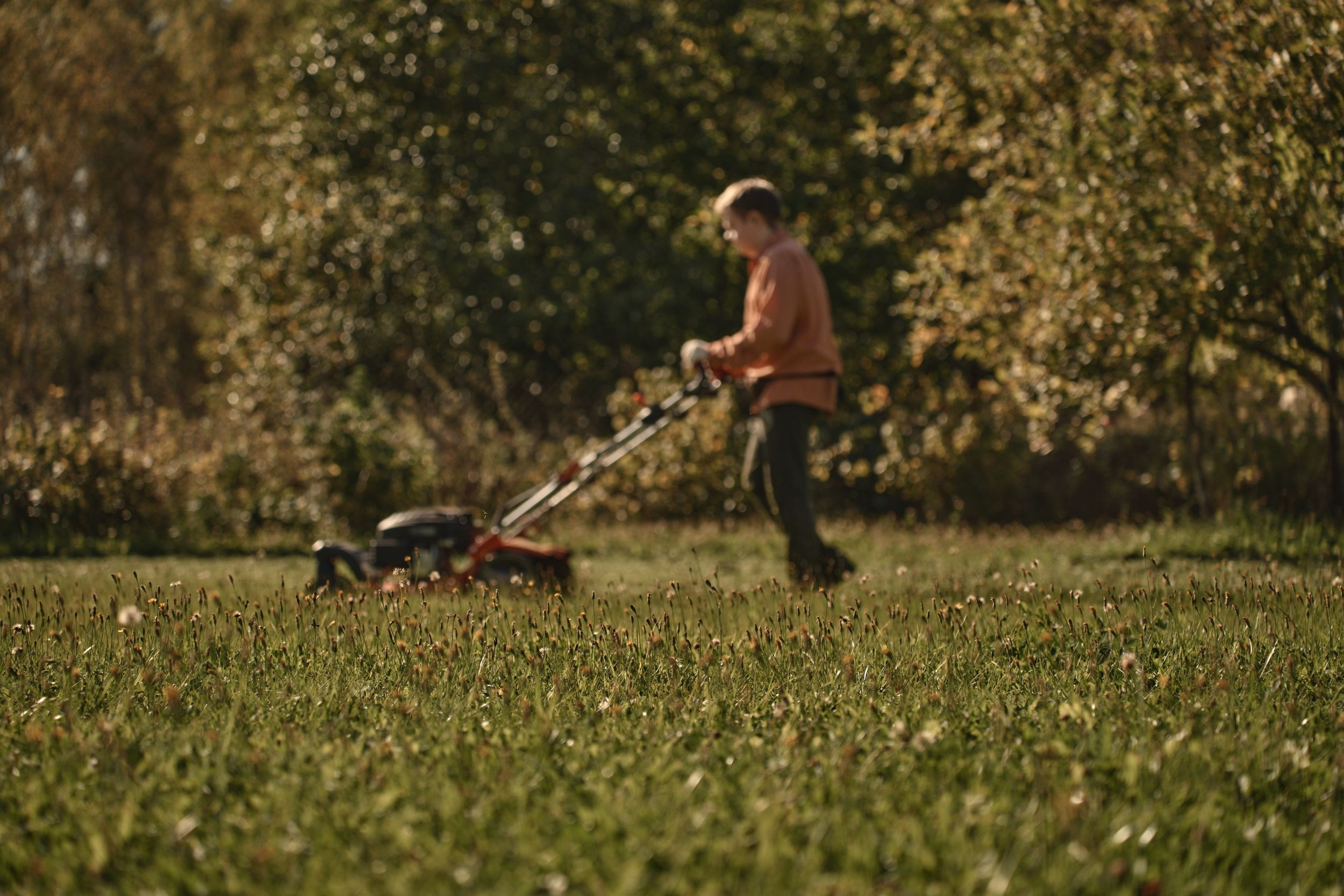 Семейная стрижка газона. Фотограф Женя Пашкина