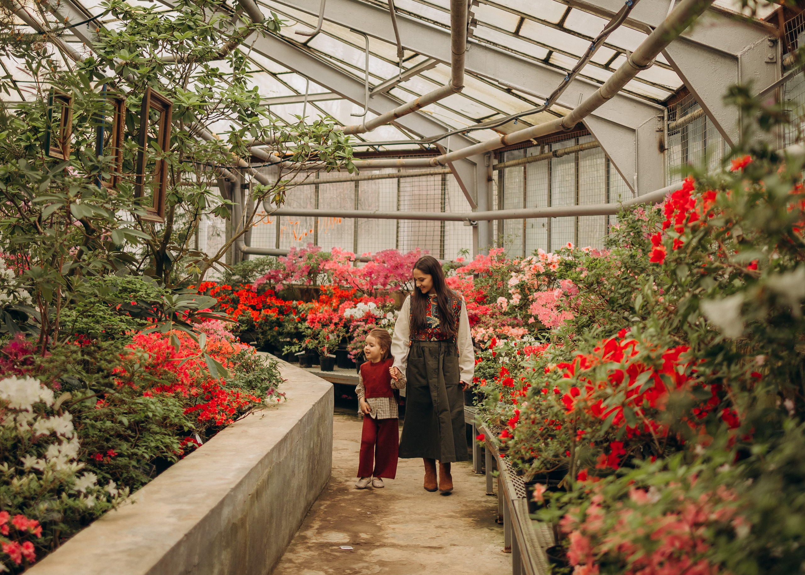Дорина и Ева. Семейный фотограф В Москве Александра Дейкун