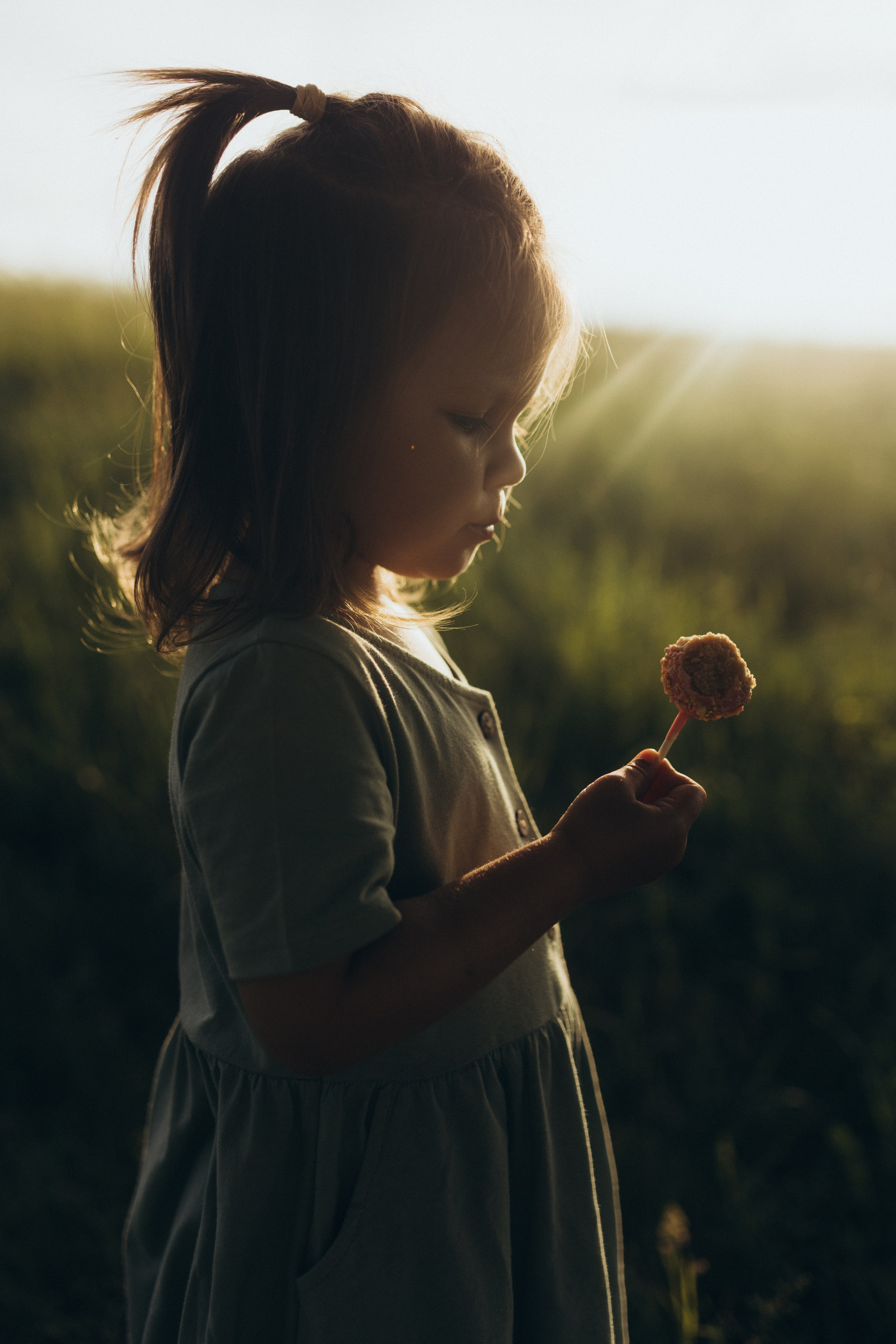 Вверх тормашками. Фотограф из Петербурга