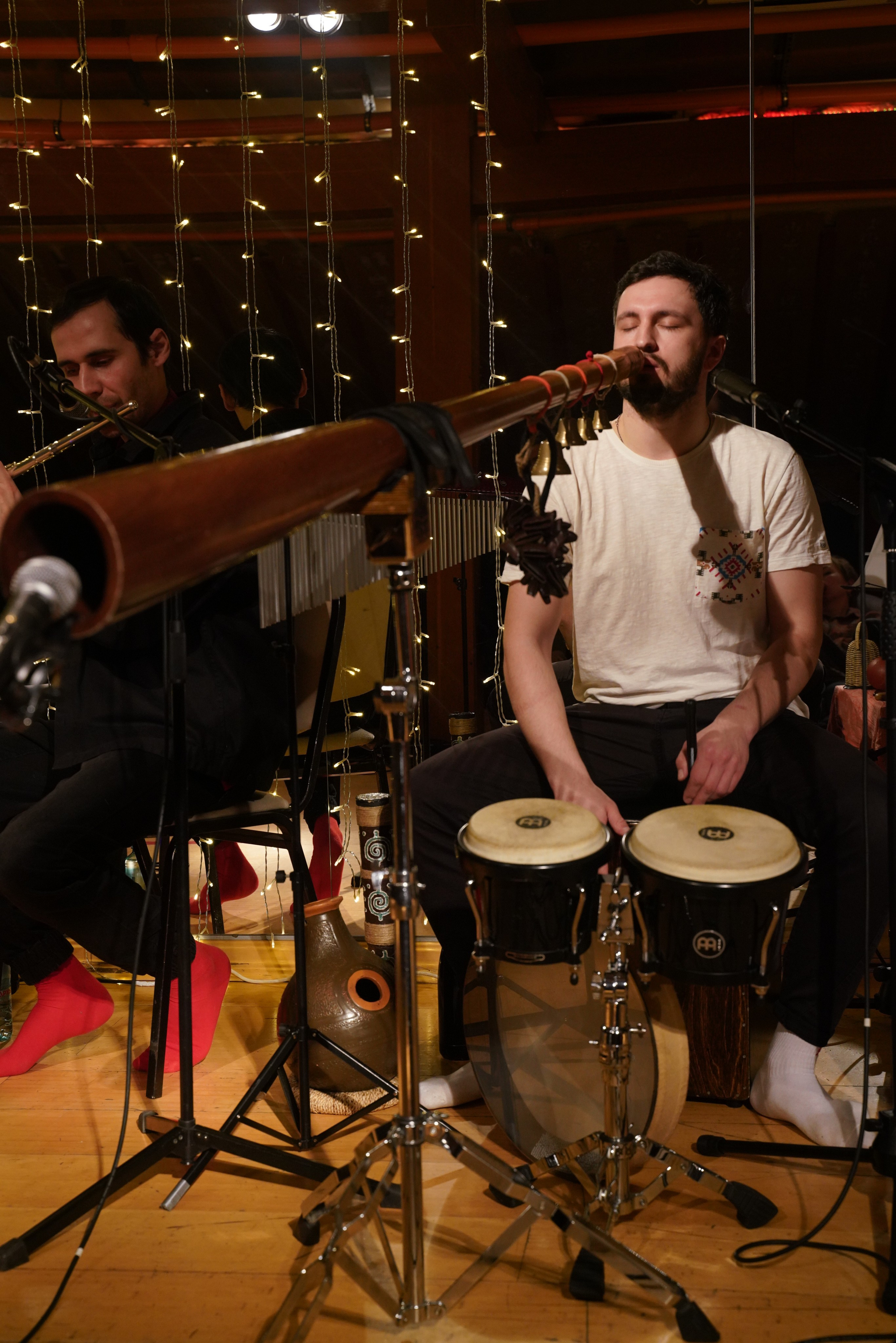 Концерт Forest jam project. Портретный и репортажный фотограф Наталья Горобец