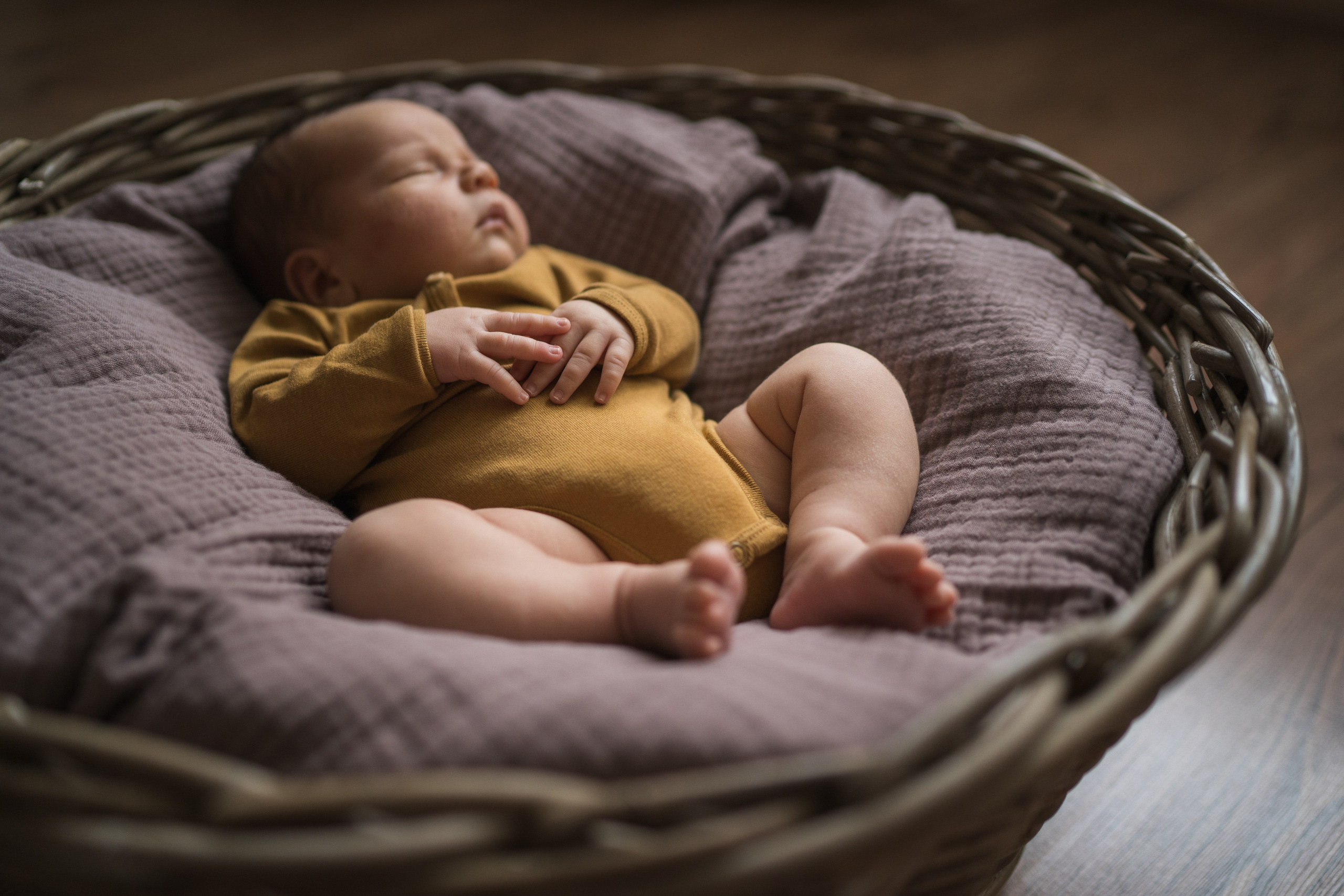 Малыш в корзине. Семейный и детский фотограф Москва Дарья Бугра