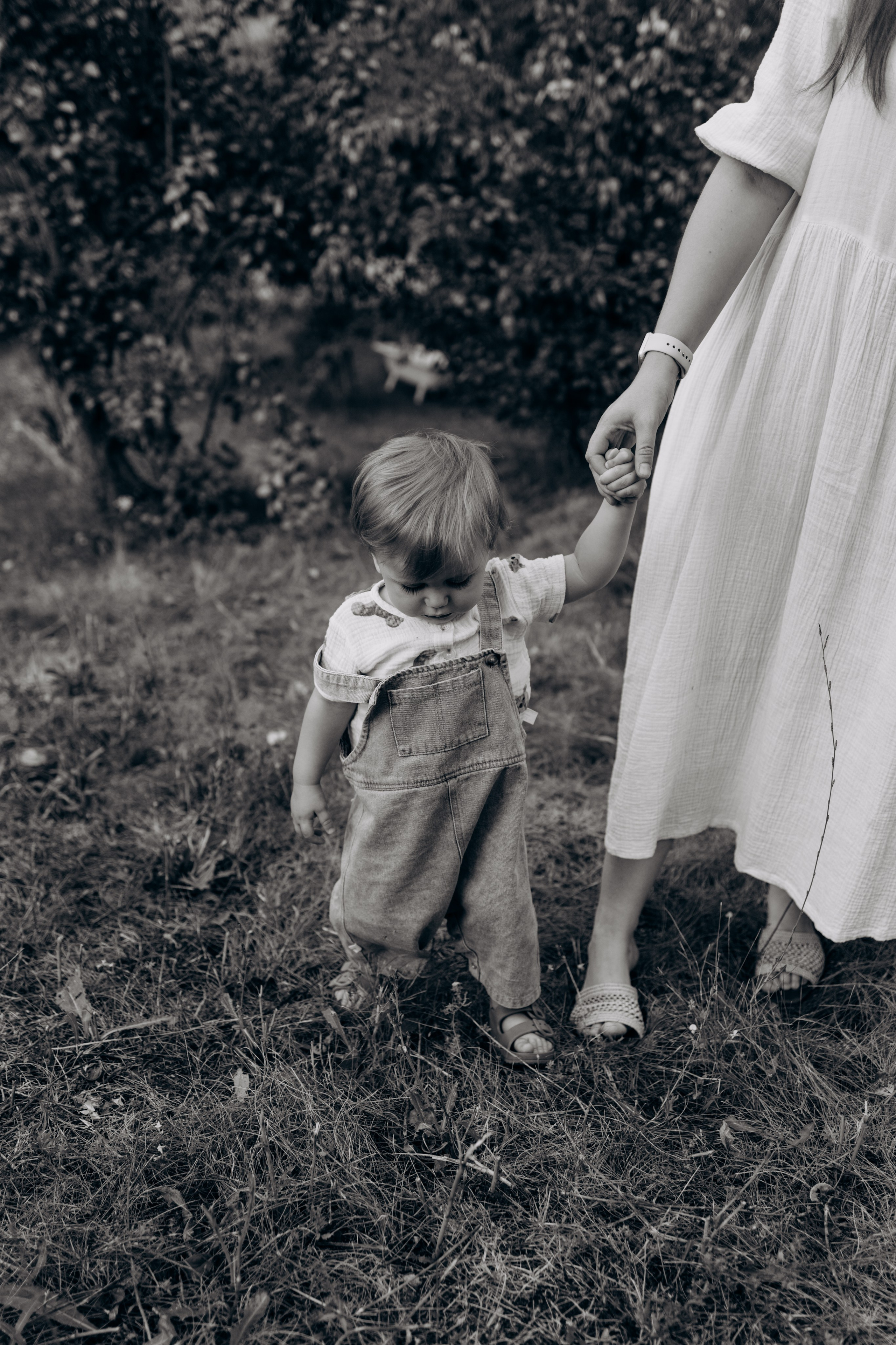 Катя, Женя, Алиса и Сава. Майорова Валерия Фотограф Ставрополь