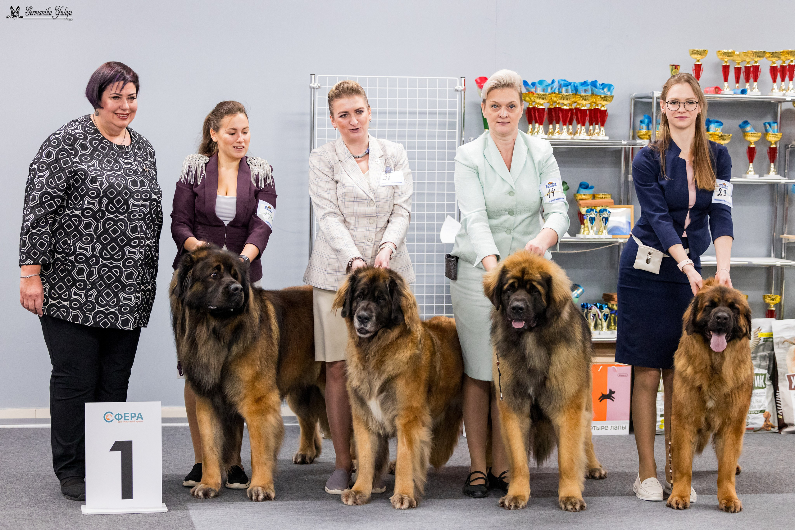 Сфера 28.01. и 4.02.2024. Фотограф-анималист Юлия Германика