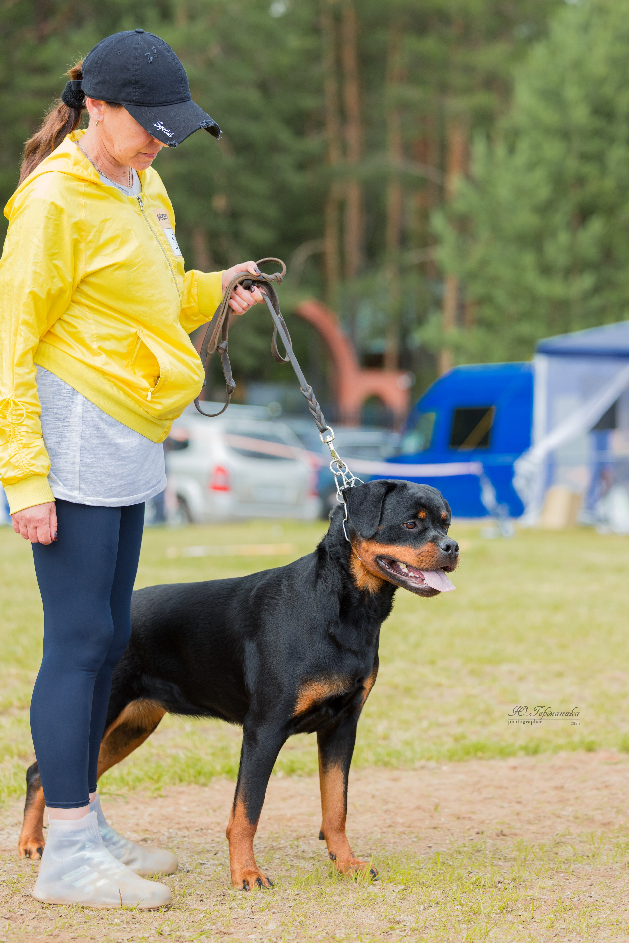Тверь ротвейлеры 5-6.07.2025. Фотограф-анималист Юлия Германика