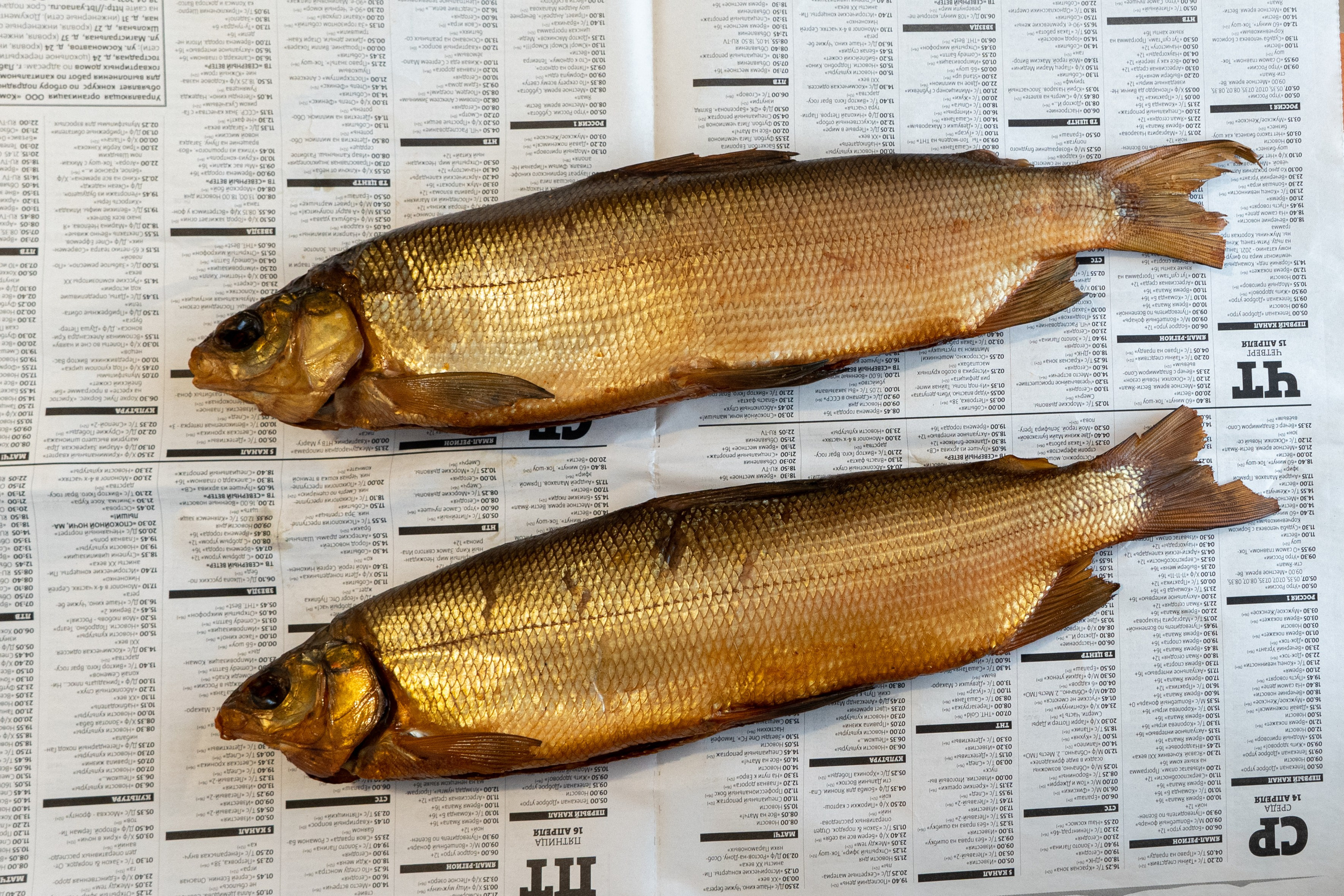 День Оленевода. Фотограф Екатерина Зорина