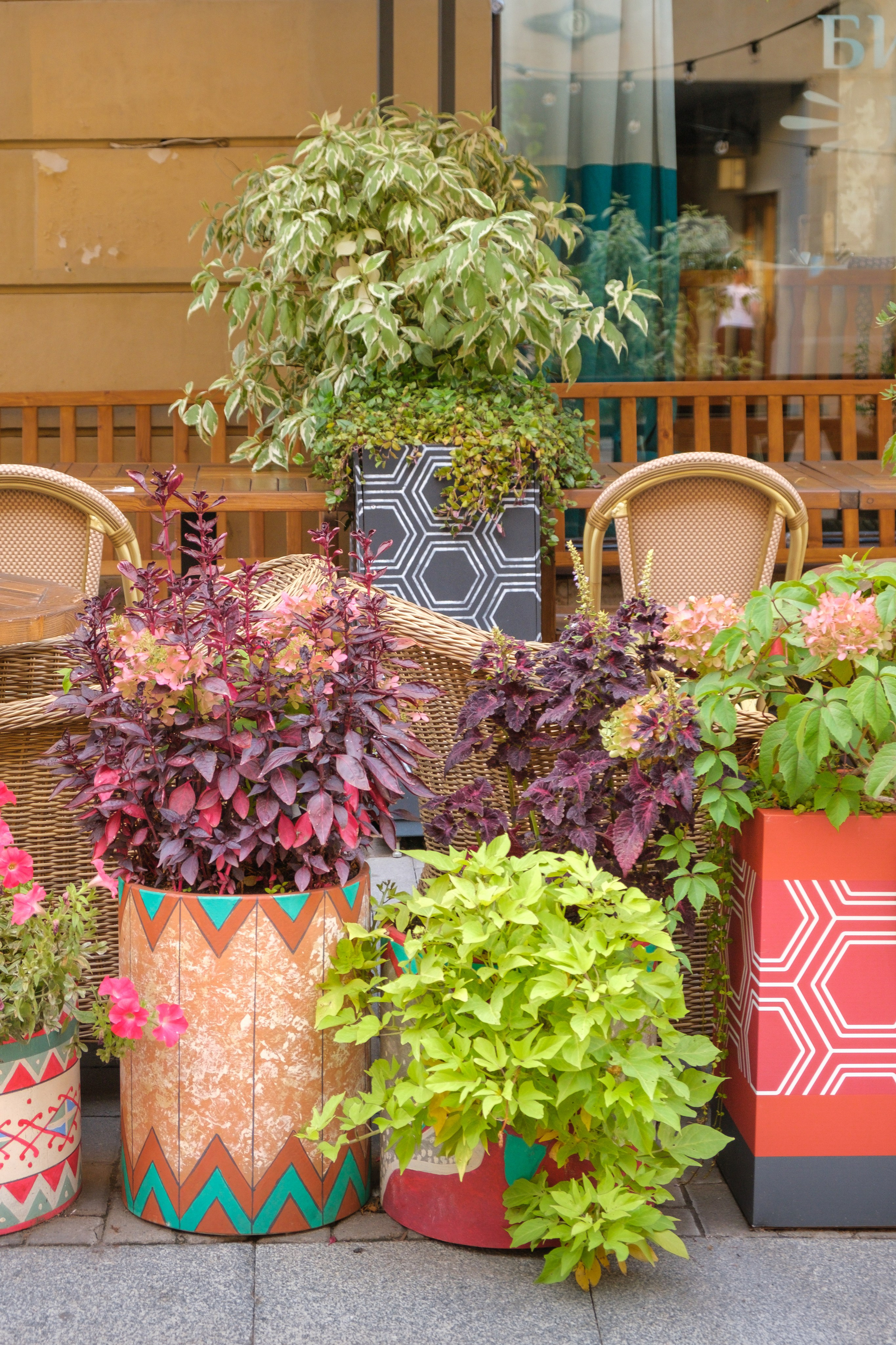 Озеленение