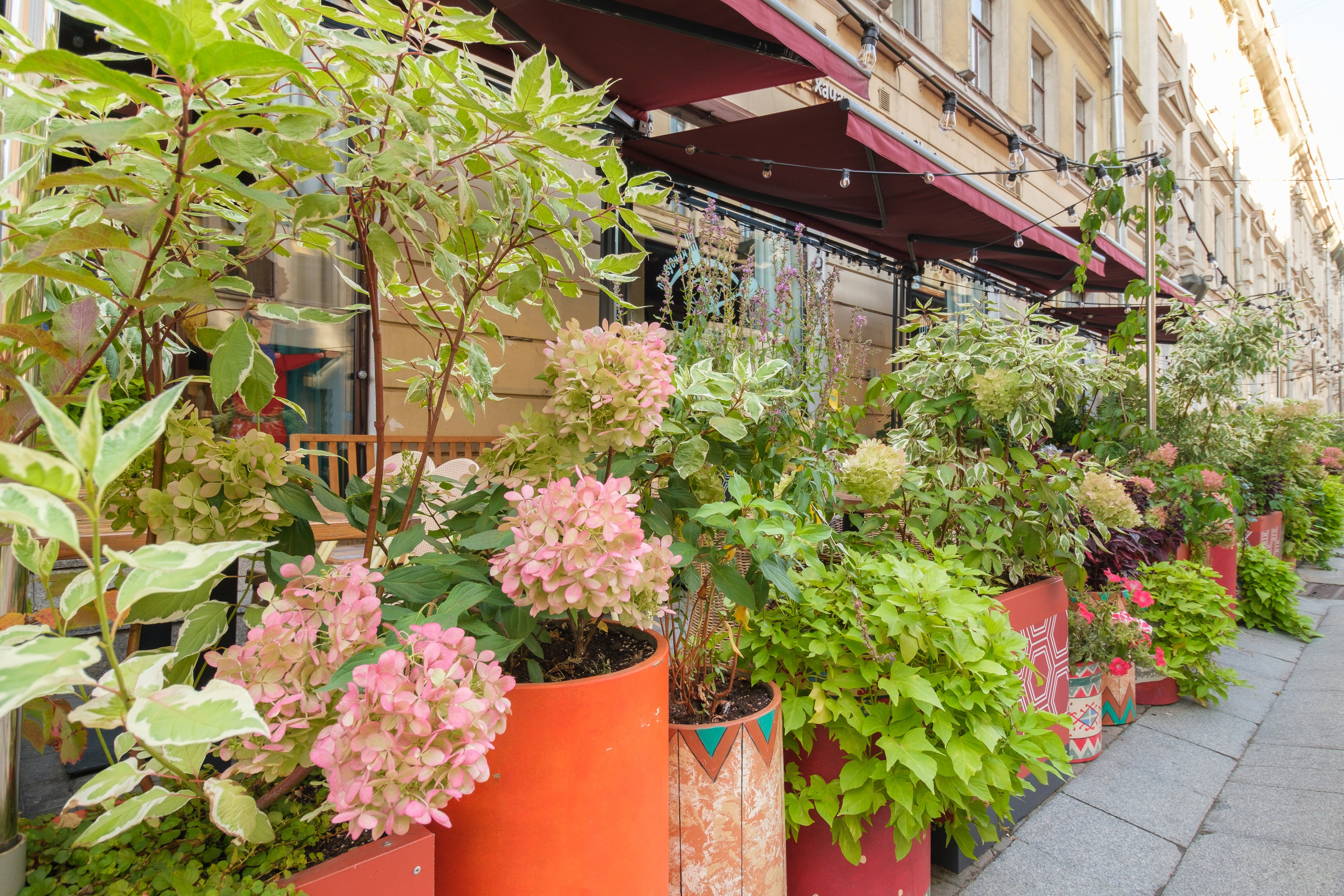 Озеленение