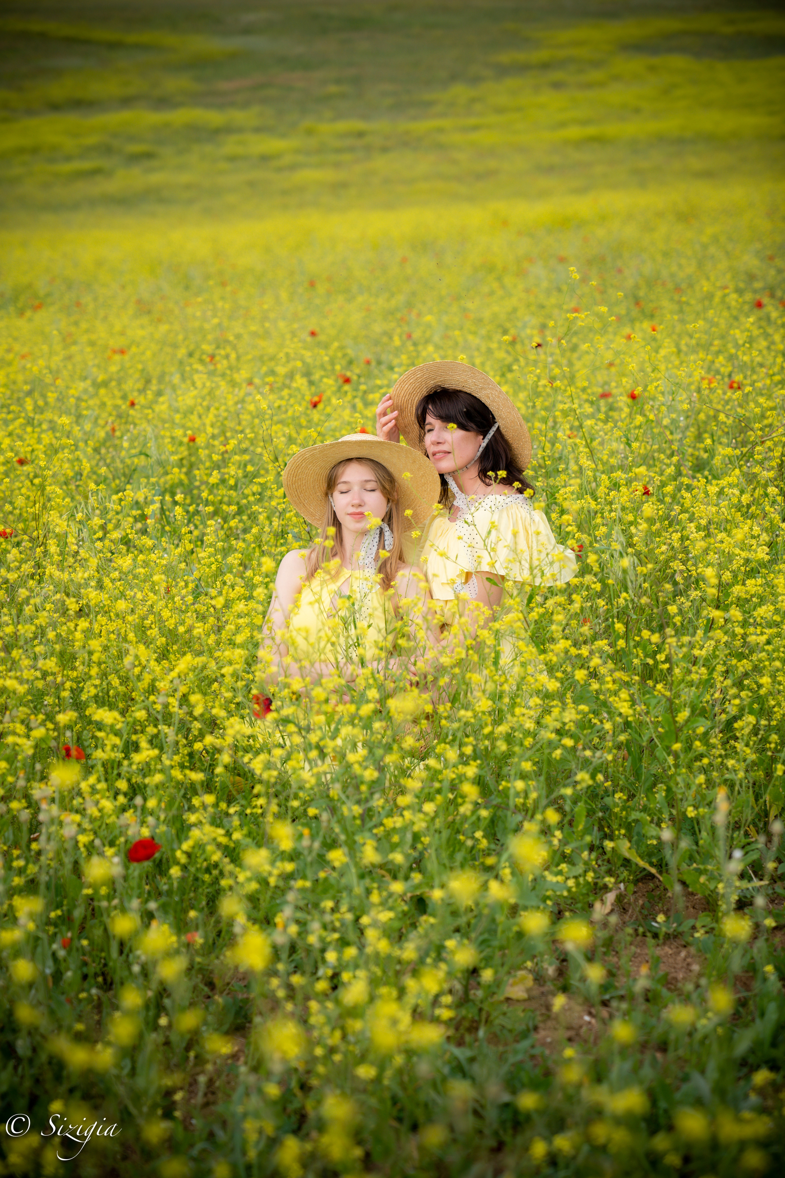 Фото в рапсовом поле. Фотограф Елена — Севастополь, Крым, Москва