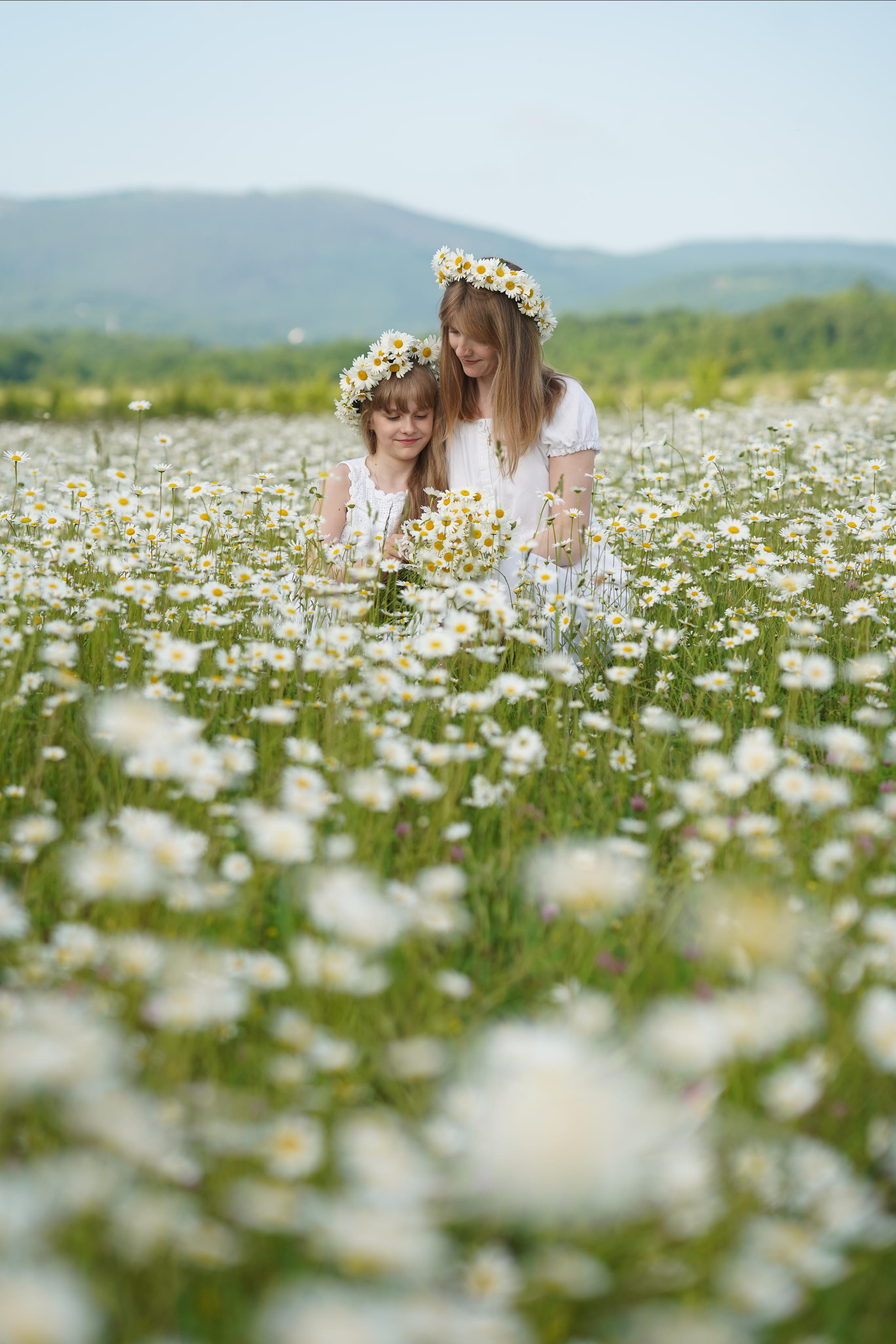 Фото в ромашковом поле. Фотограф Елена — Севастополь, Крым, Москва