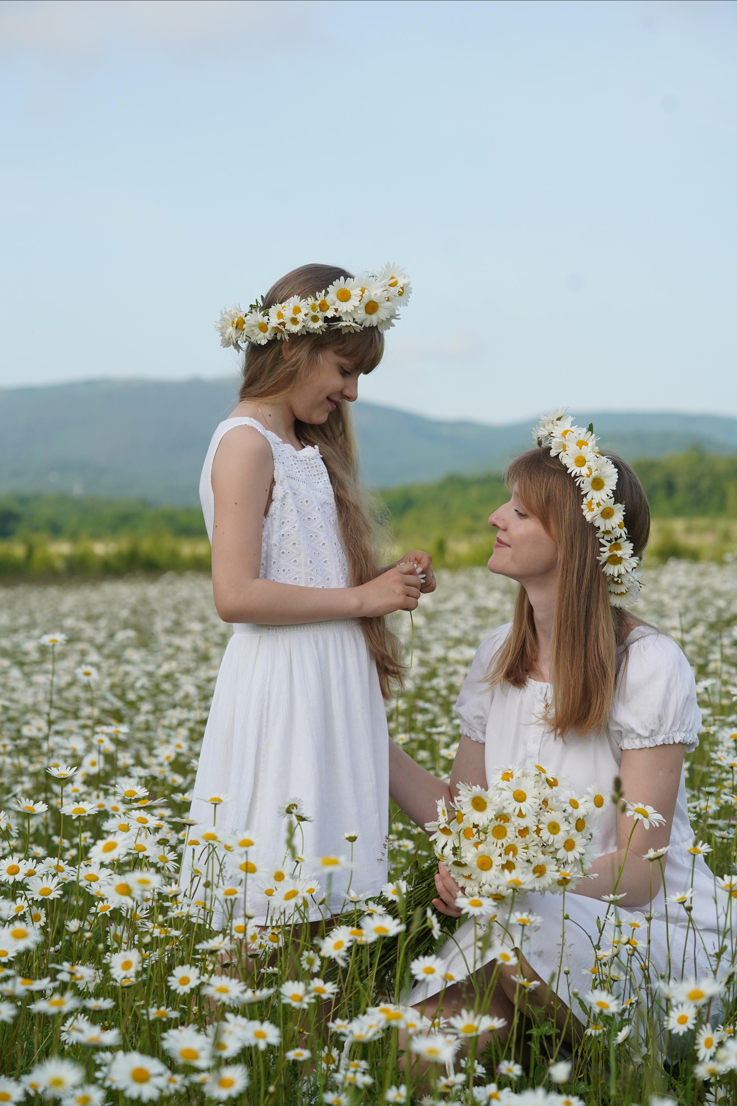 Фото в ромашковом поле. Фотограф Елена — Севастополь, Крым, Москва