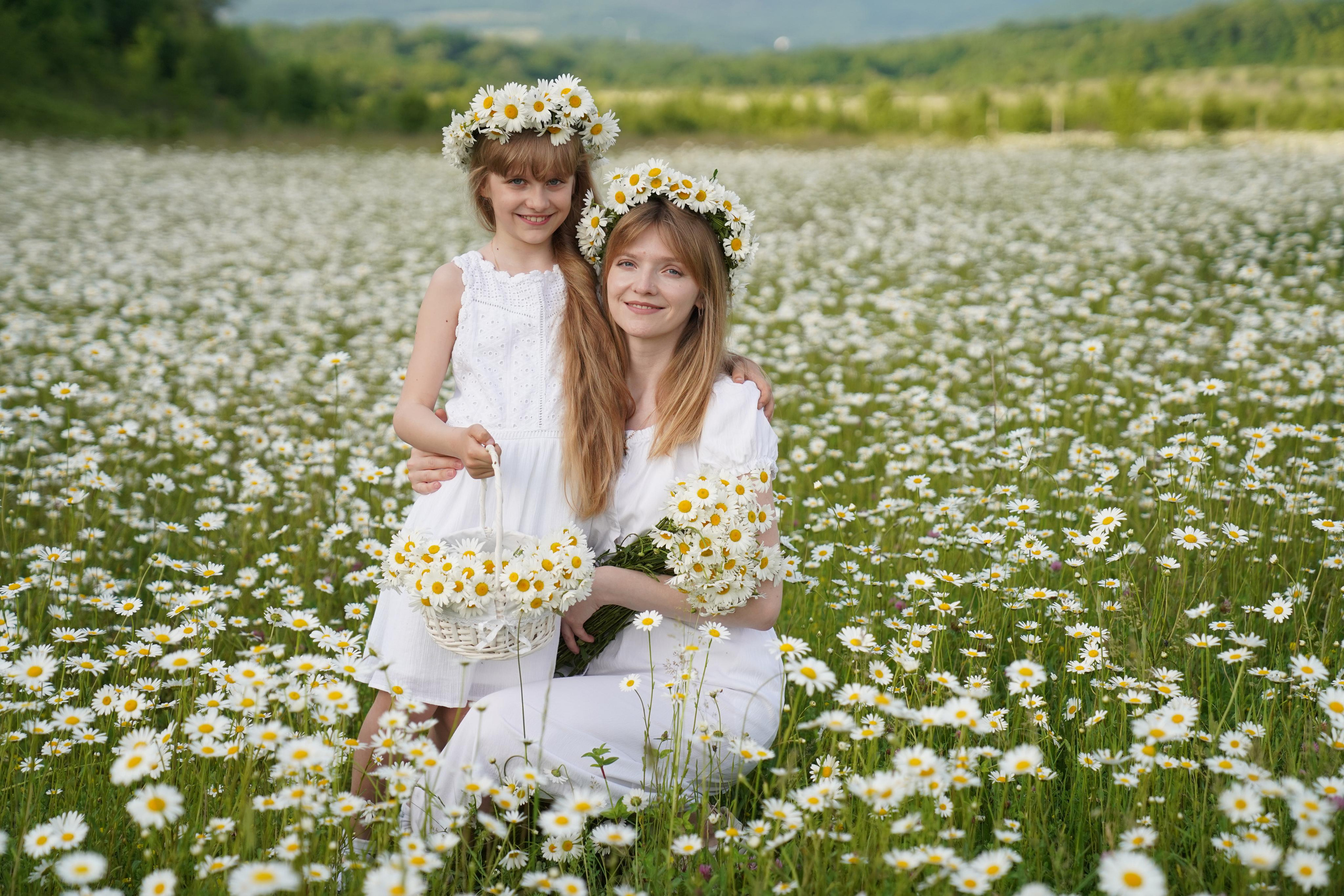 Фото в ромашковом поле. Фотограф Елена — Севастополь, Крым, Москва