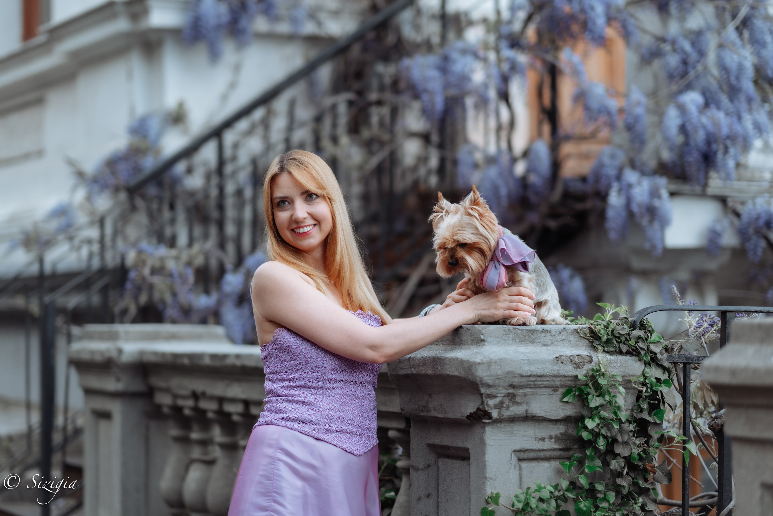 Фото в глицинии. Фотограф Елена — Севастополь, Крым, Москва