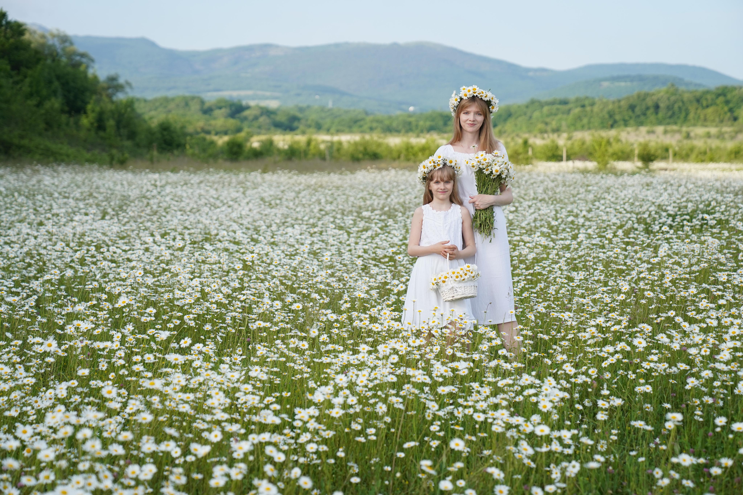 Фото в ромашковом поле. Фотограф Елена — Севастополь, Крым, Москва