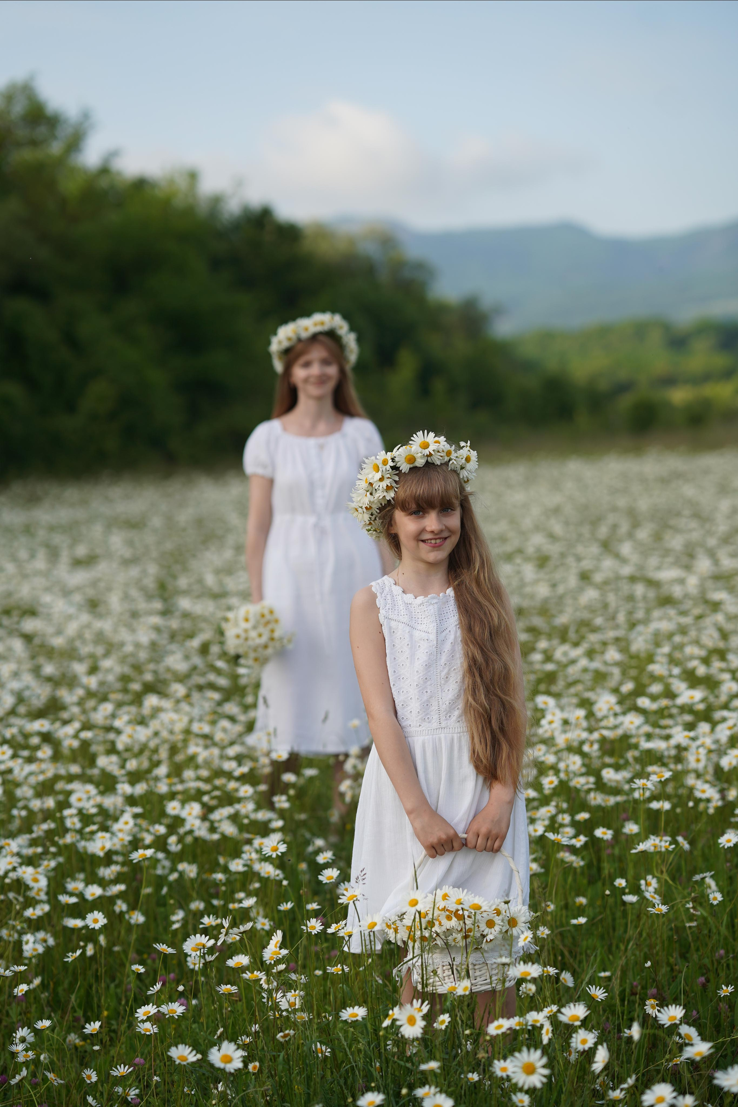 Фото в ромашковом поле. Фотограф Елена — Севастополь, Крым, Москва