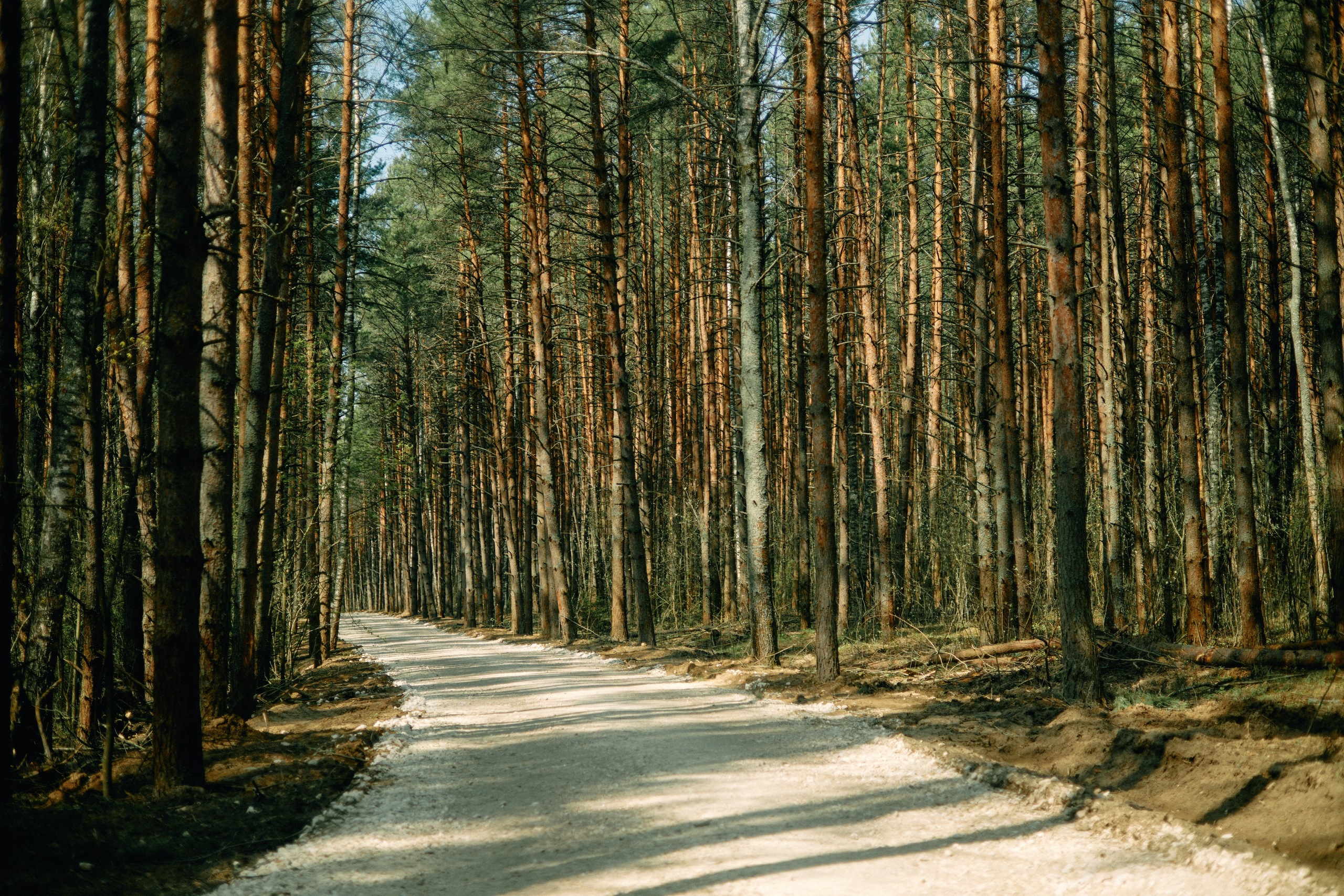 Бутик-отель Поле летом. Профессиональный Фотограф во Владимире, в Москве и в Суздале — Полина Романычева