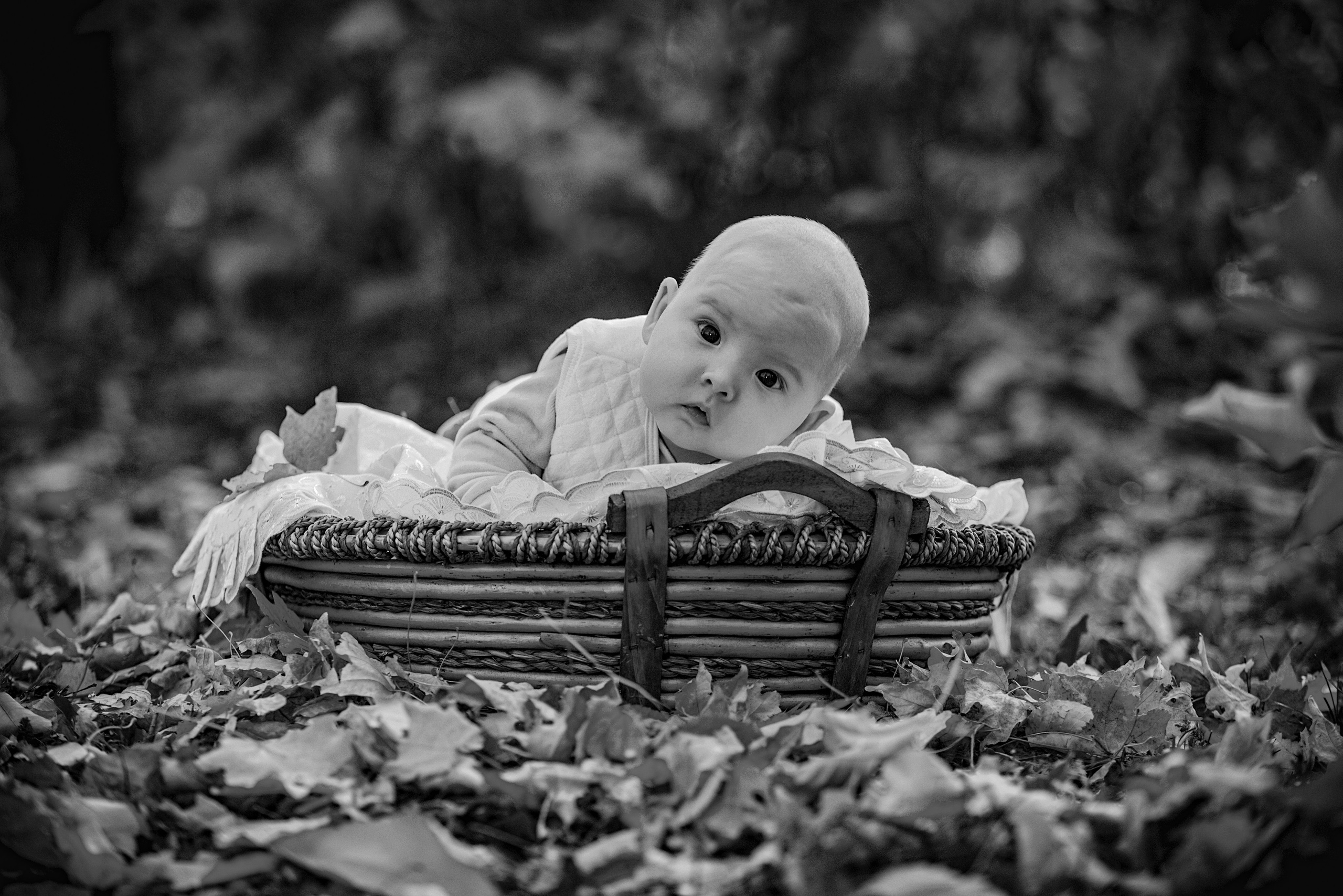 Золотая осень. Свадебный и Семейный Фотограф в Краснодаре