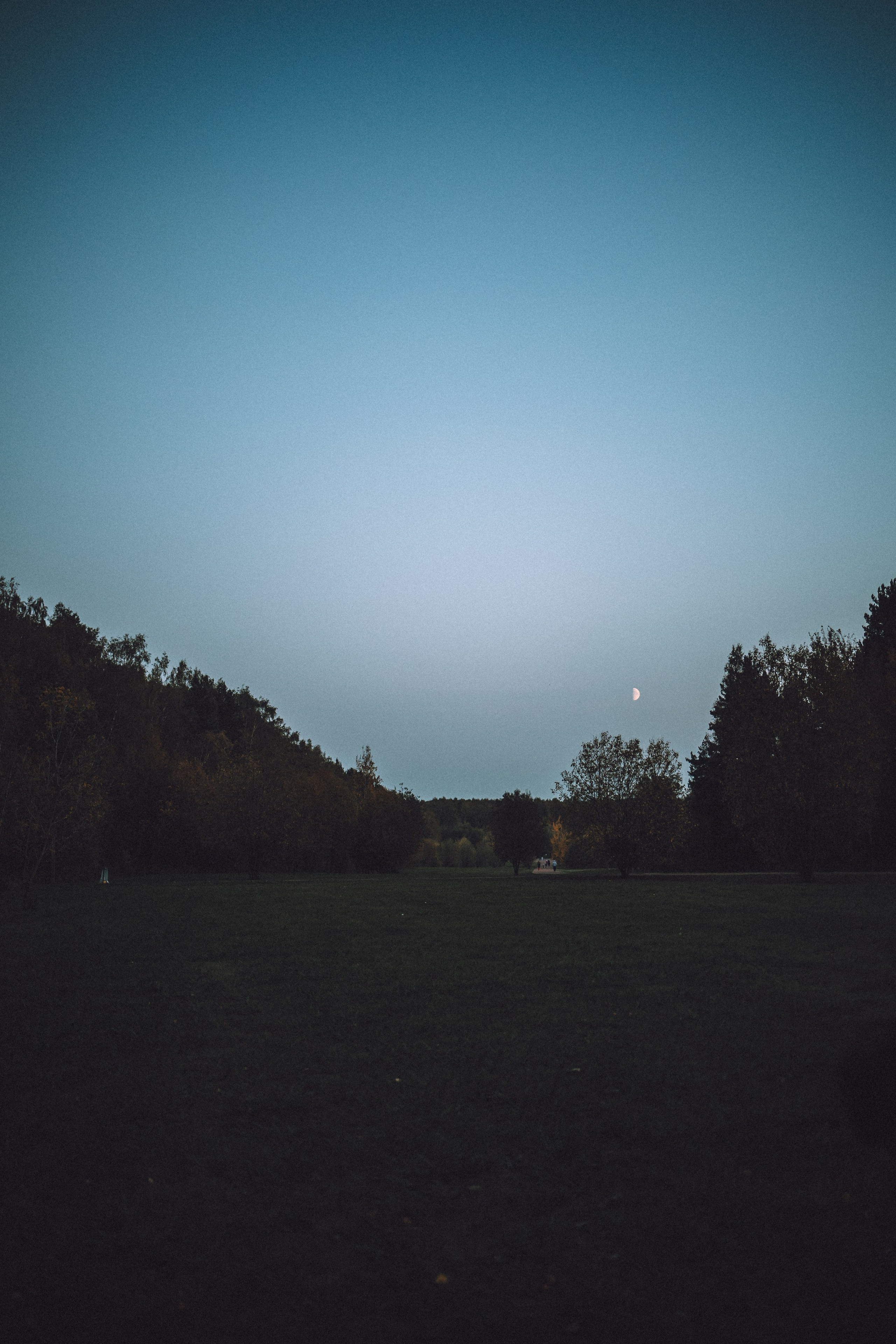 Рик, Джек и их семья