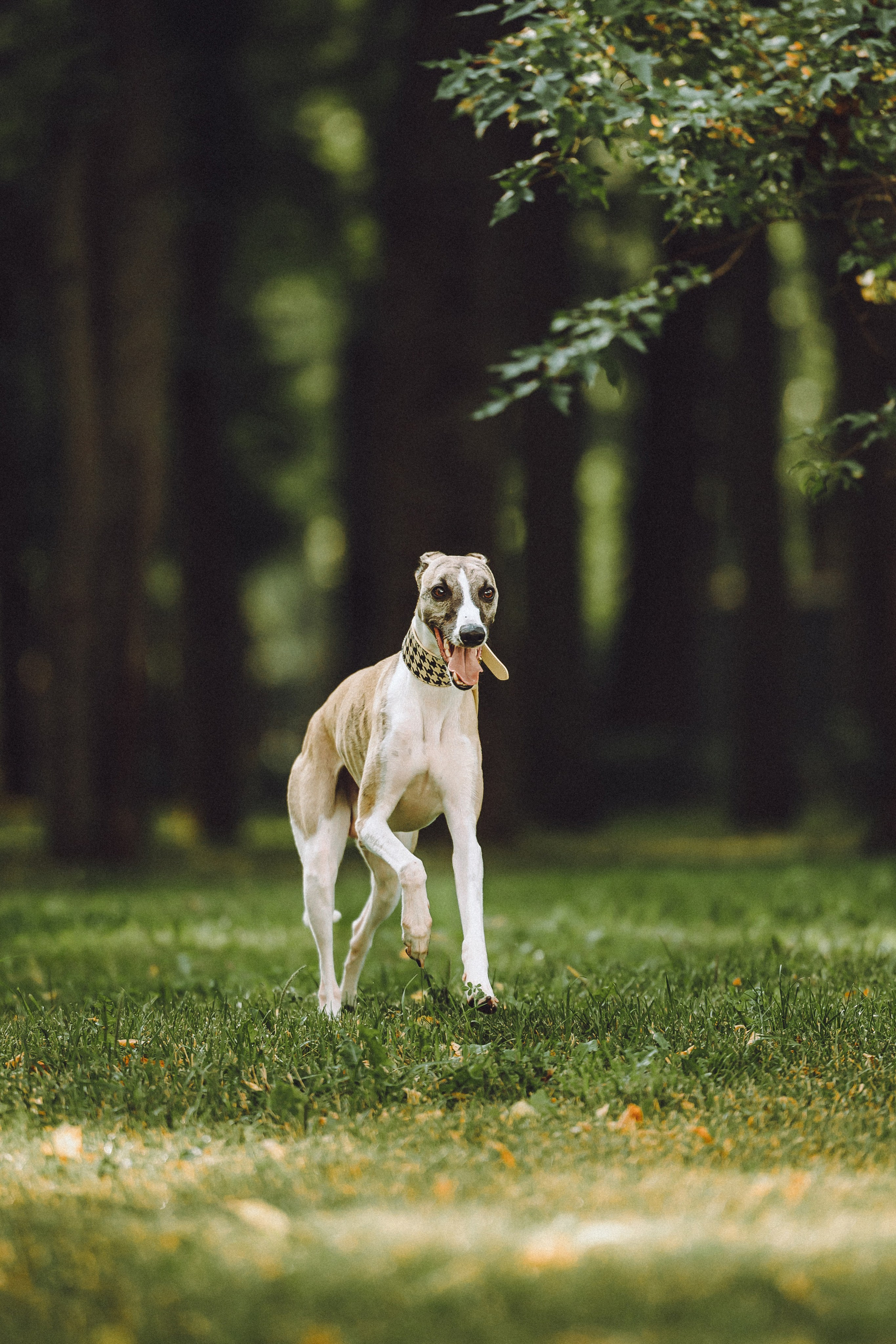 Ирина, Илья и Рик