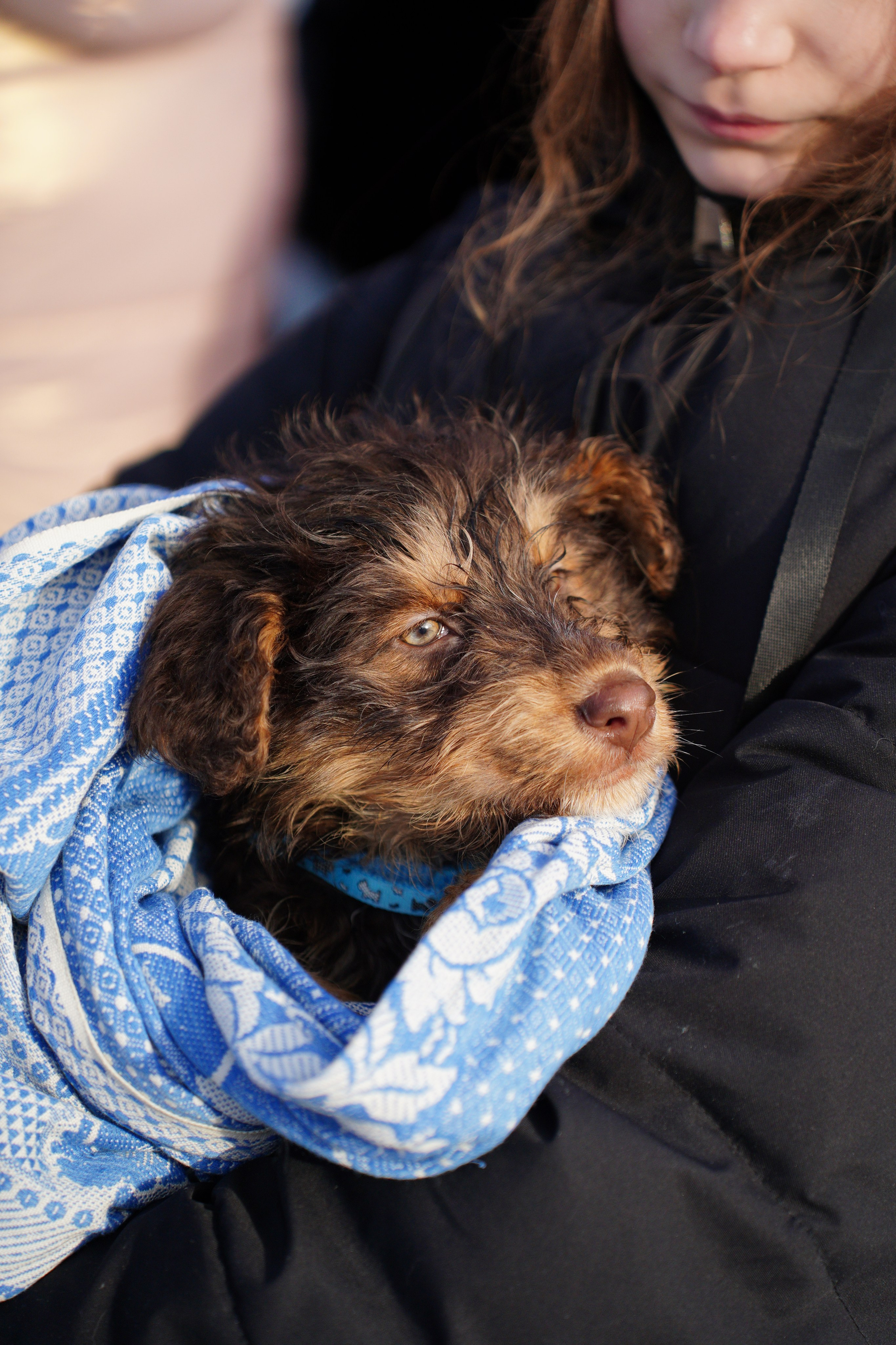 Благотворительная Акция «Ищу Человека». Pupov.png