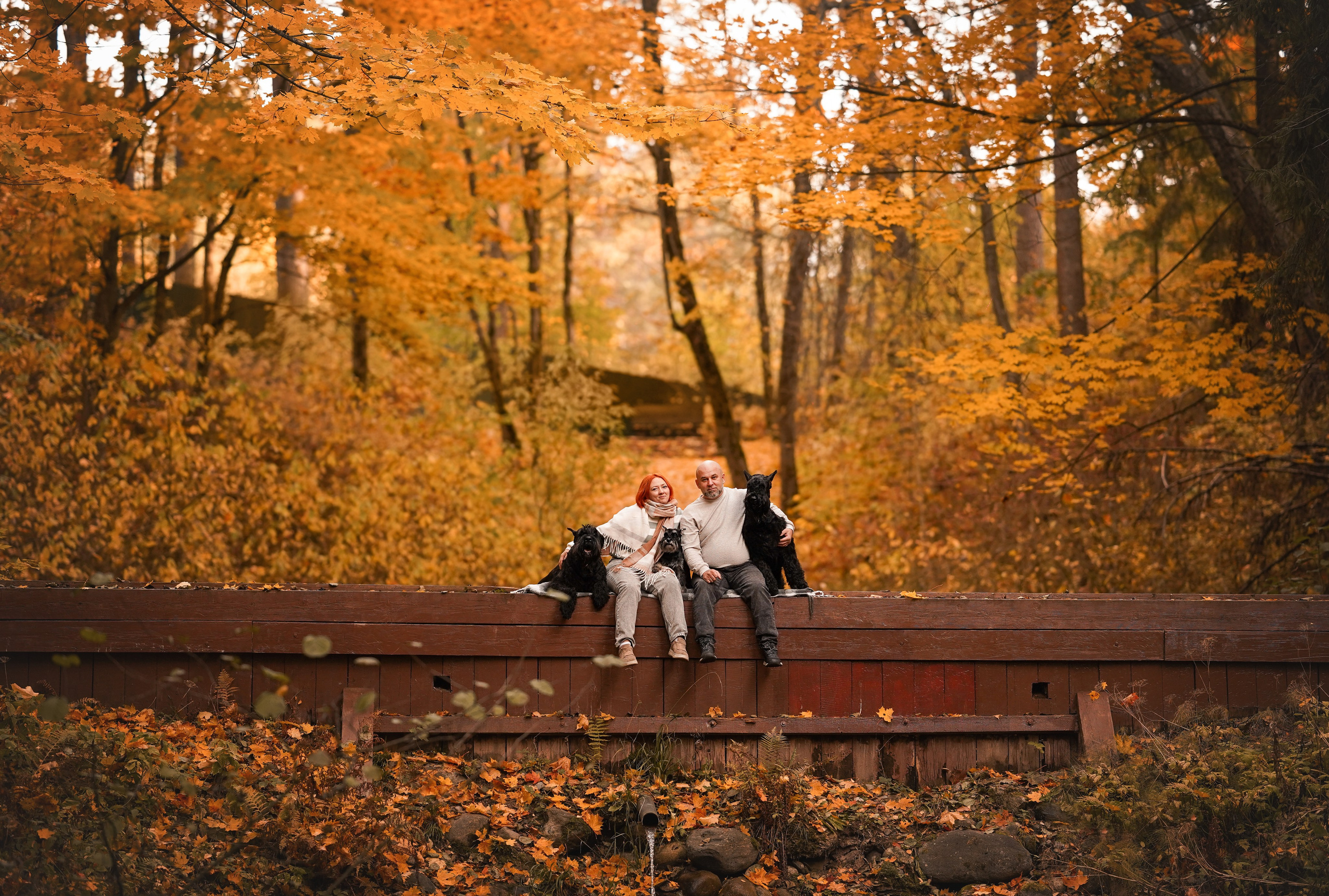 Оля Миша и шнауцеры. Фотограф-анималист в Санкт-Петербурге Яна Мартынова