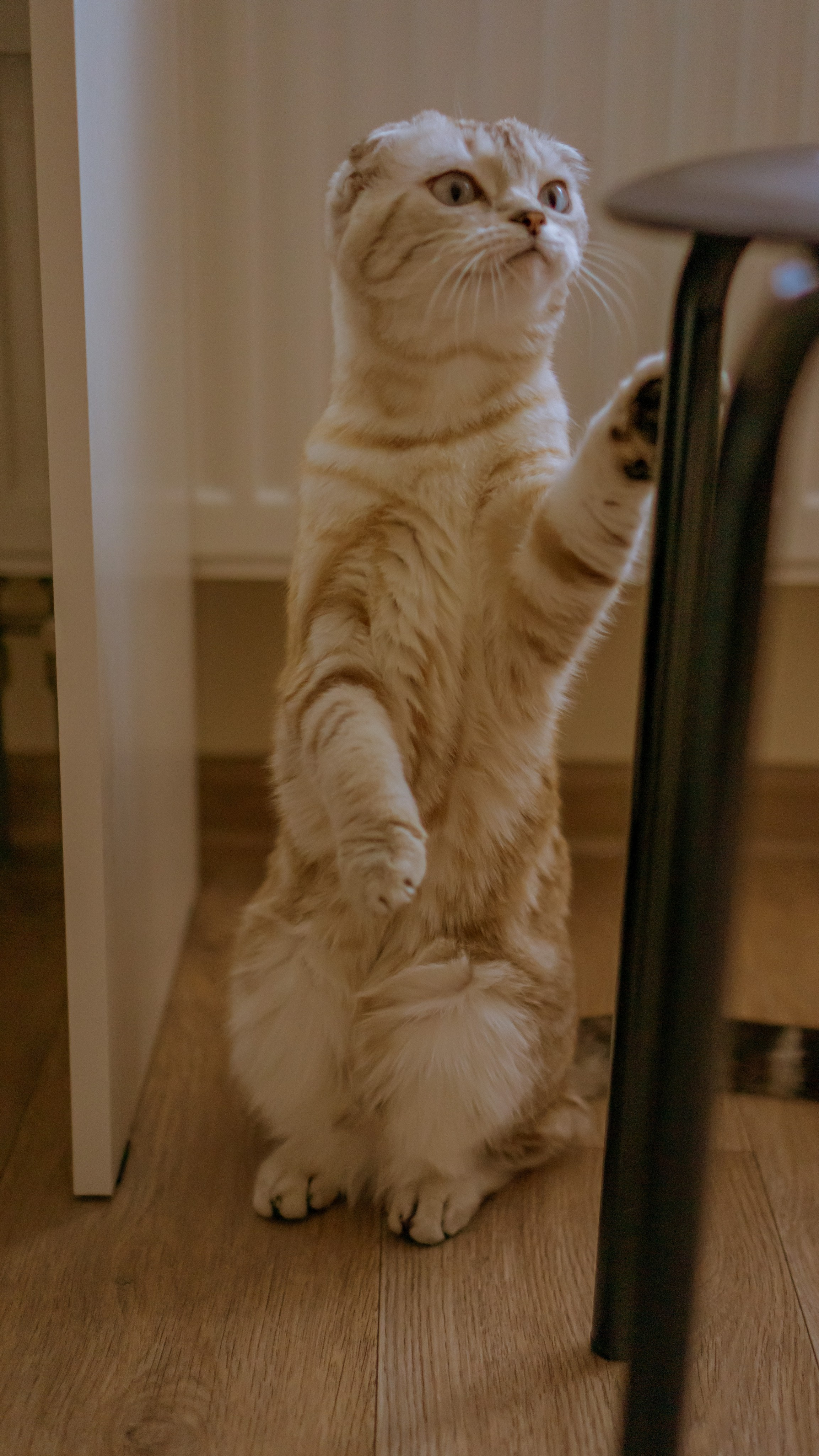 Ария. Фотограф в Кстово и Нижнем Новгороде KOLOSOK