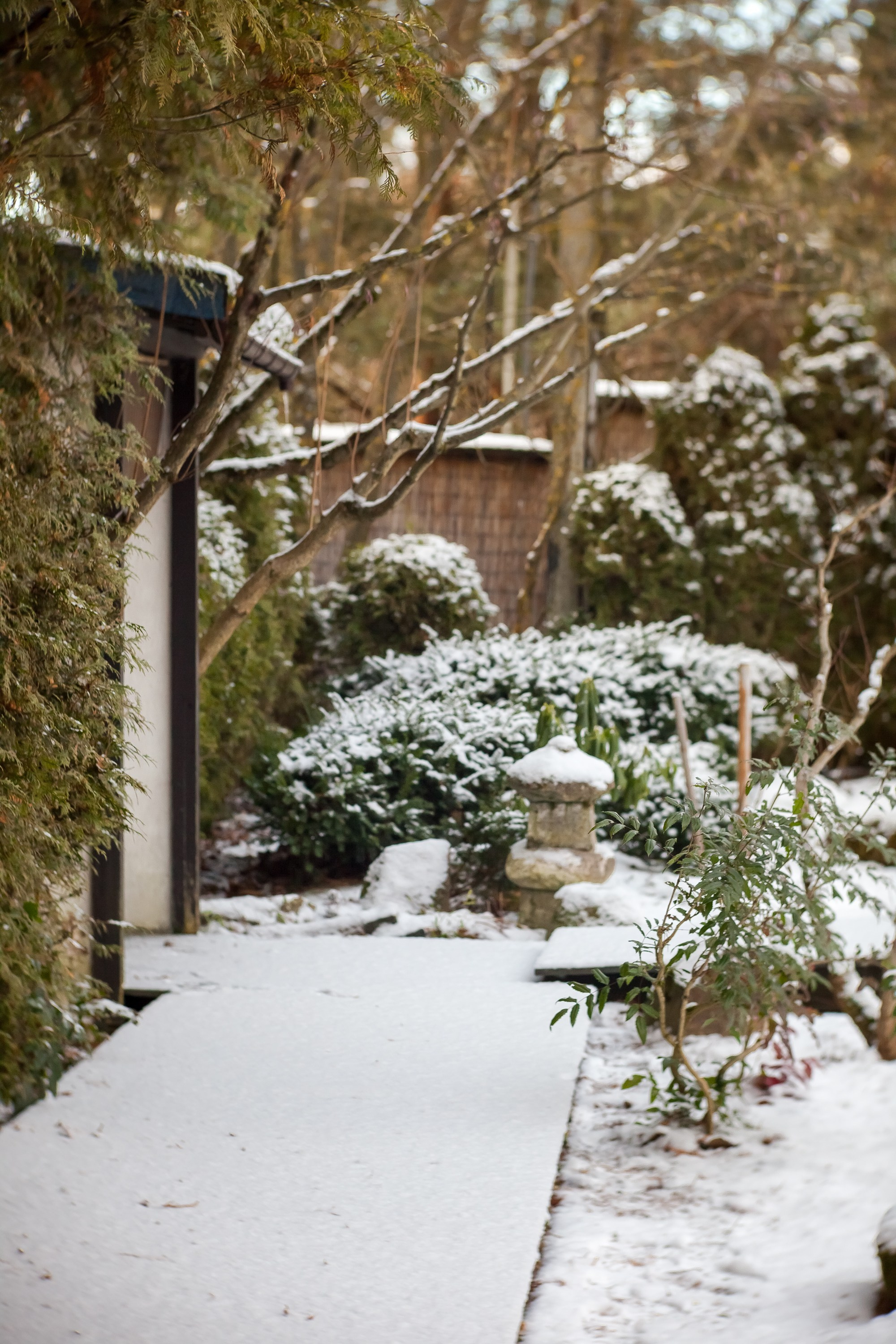 Спящий сад, Елены Асташкиной. Туманов Виталий — фотограф Москва