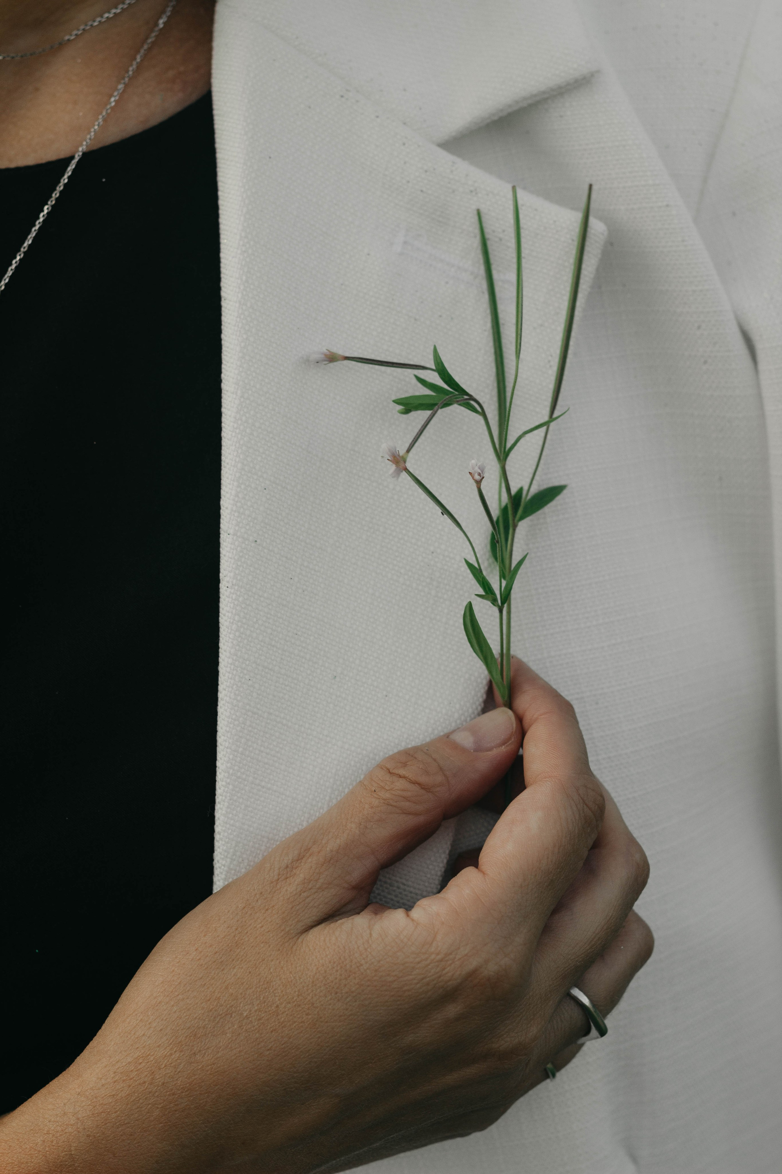 Малефисента. Фотограф в Санкт-Петербурге Головина Анастасия