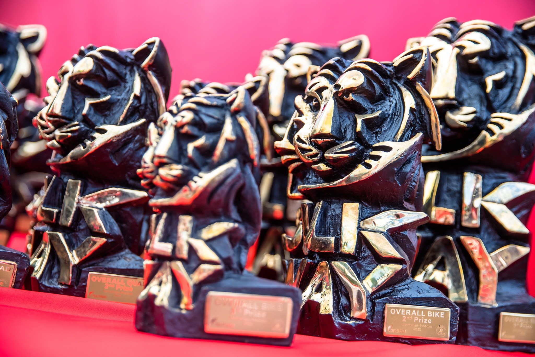 НАГРАДНАЯ АТРИБУТИКА. Портфолио