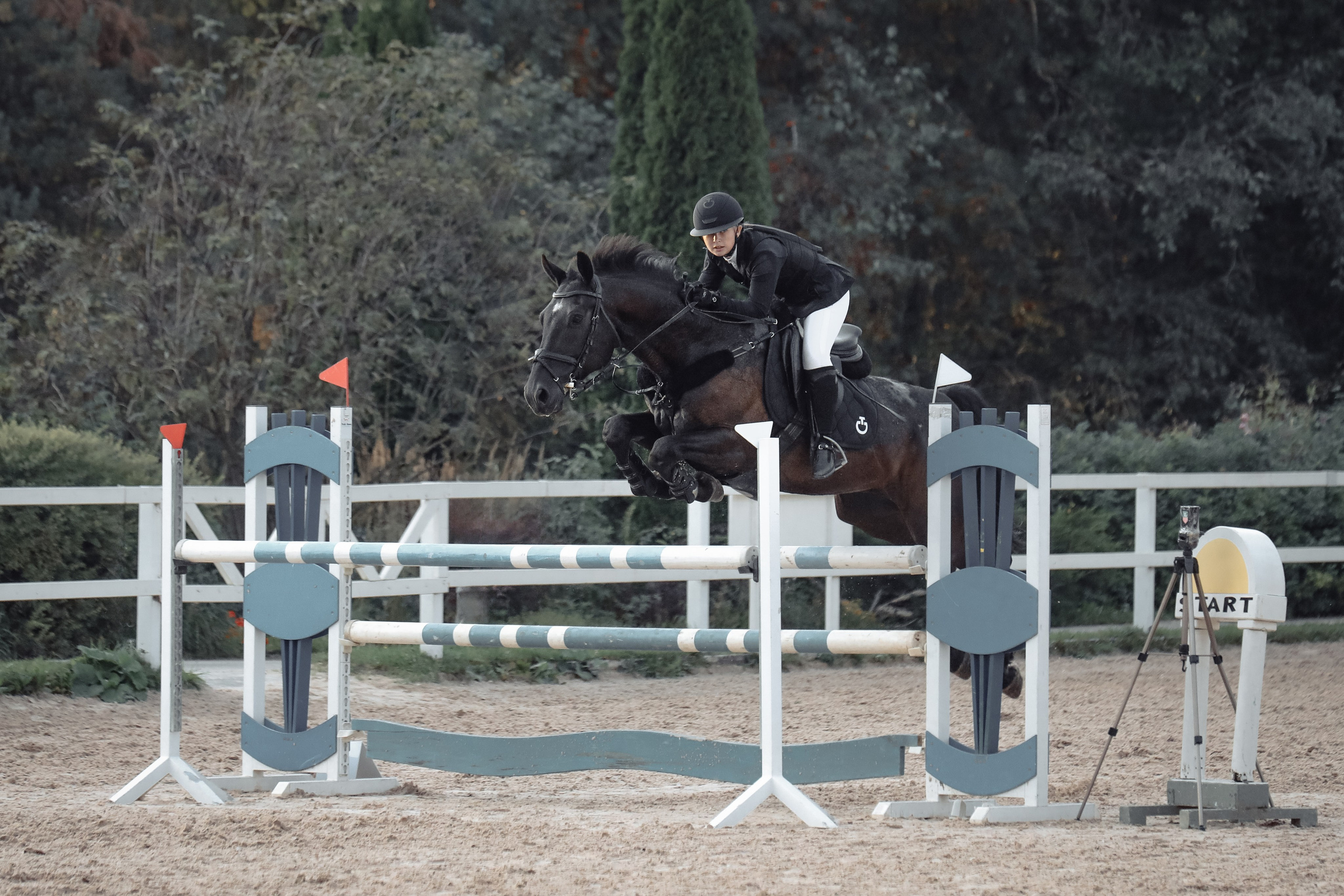 Лошади Евы Демидовой. Ева Демидова. Спортсмен по конкуру в Санкт-Петербуре
