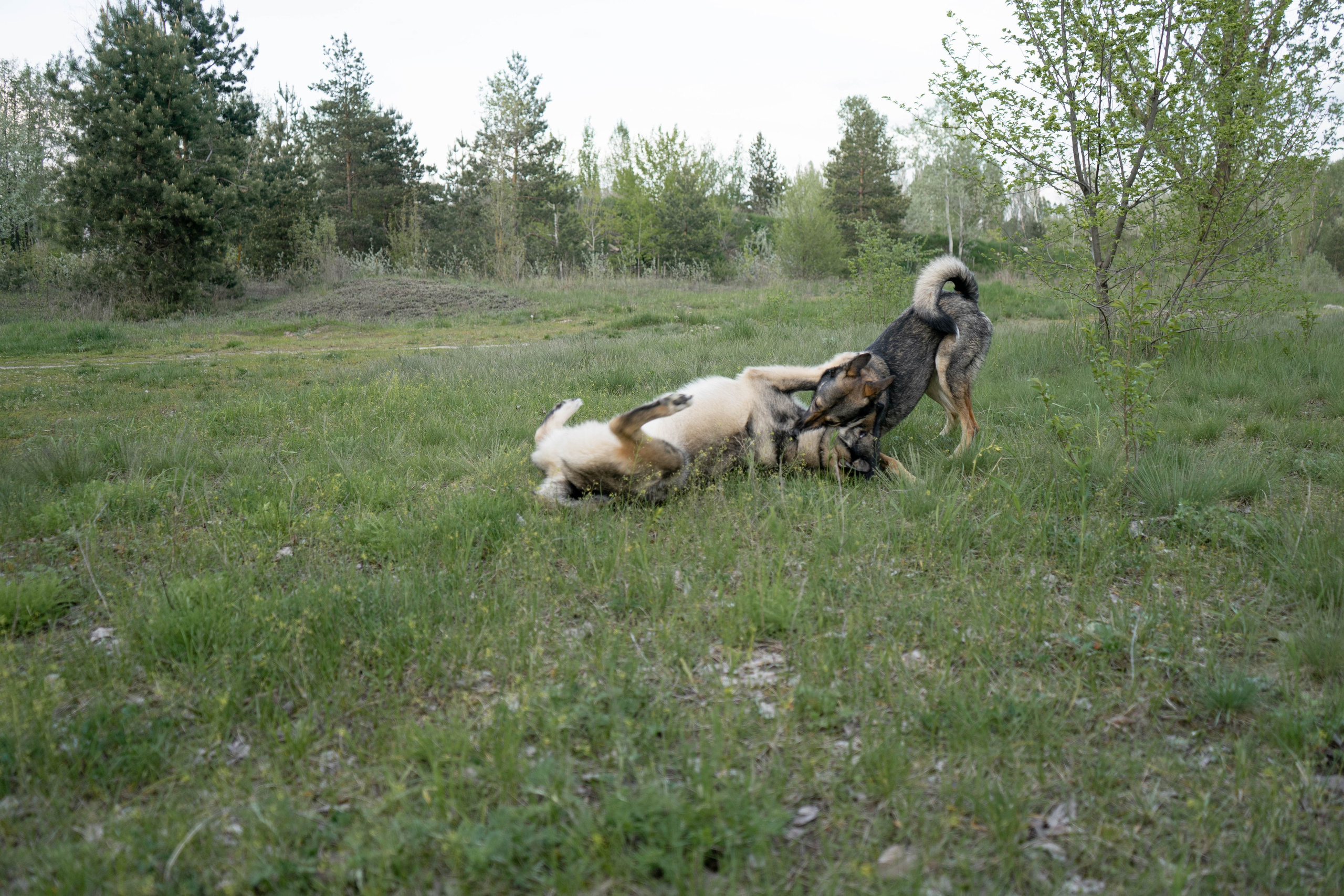 Jack. Lifestyle photographer Turku. I catch emotions in the frame