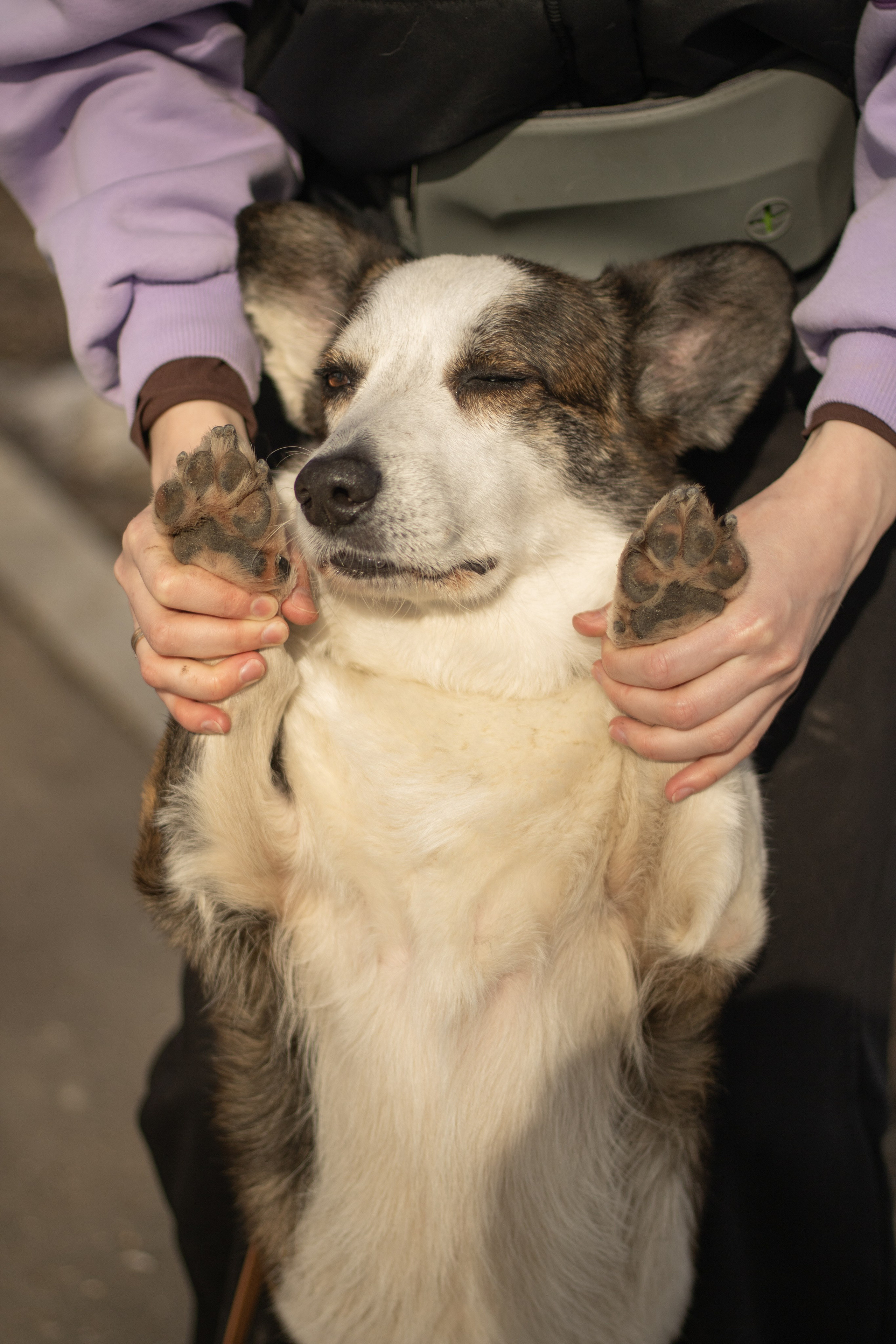 Юлия и Тэя. Катя Попова|ЛайфСтайл фотограф