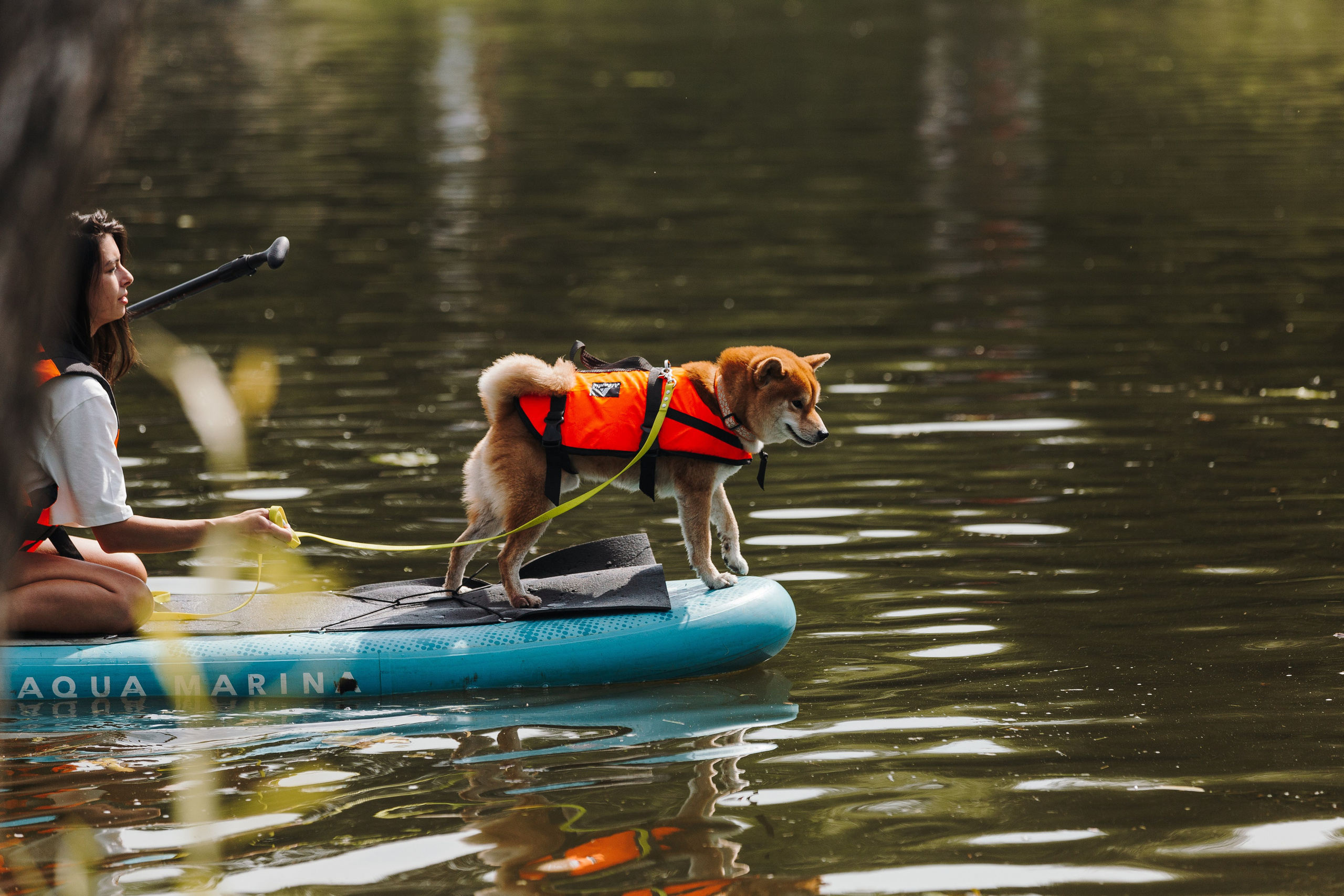 Petshop Sup day. Фотограф анималист Кристина Карпова, Москва