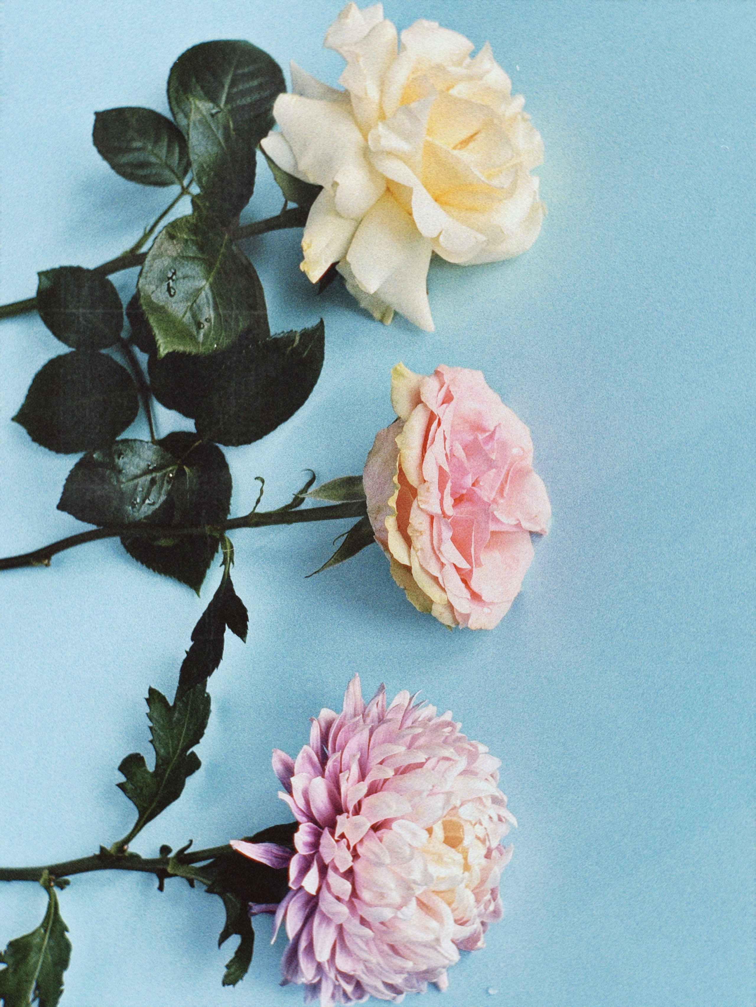 Предметная съёмка. Чувственный мобильный фотограф в Казани и Сочи Дьяченко Дарья