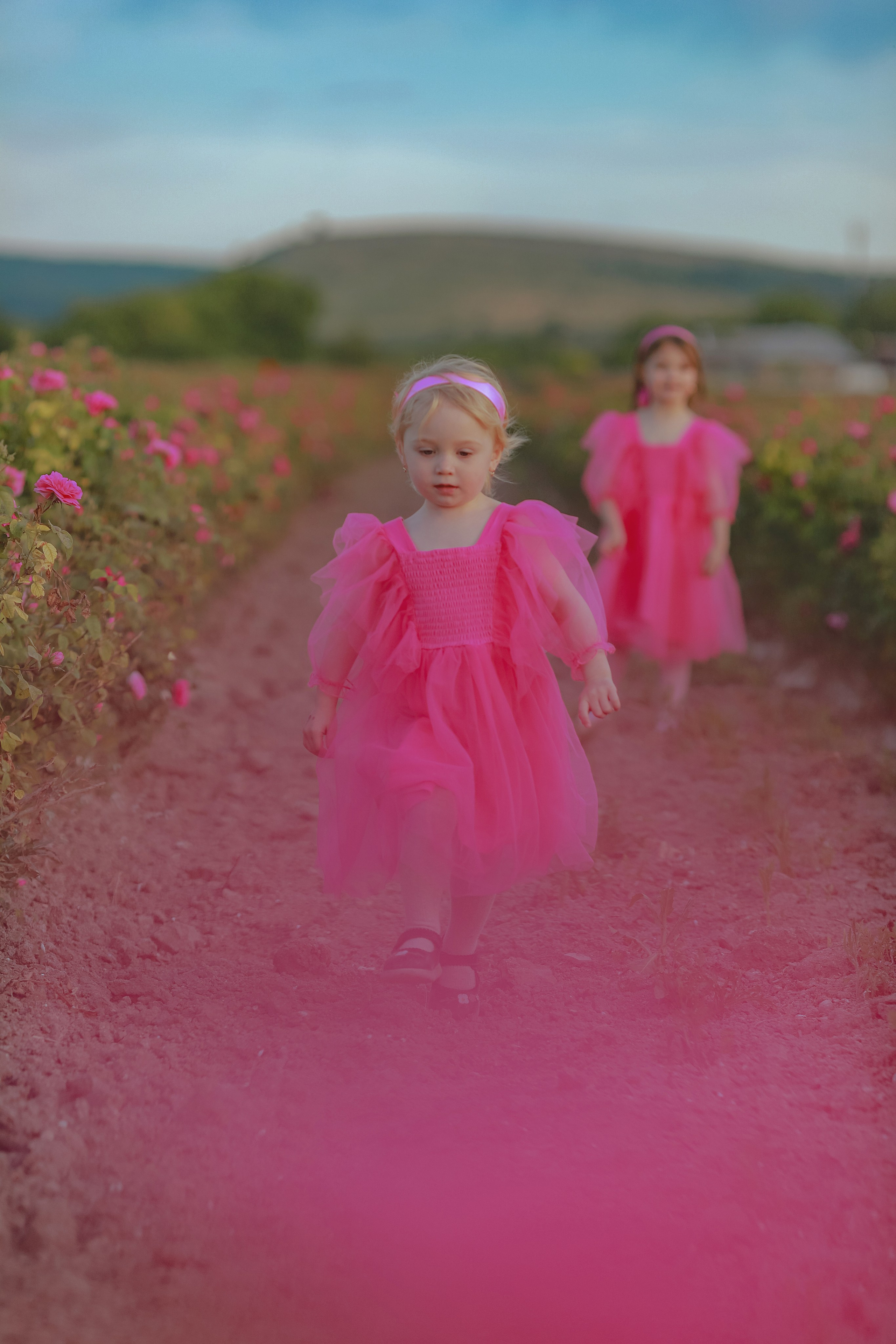 РОЗЫ. Семейный и детский фотограф в Крыму Екатерина Швец