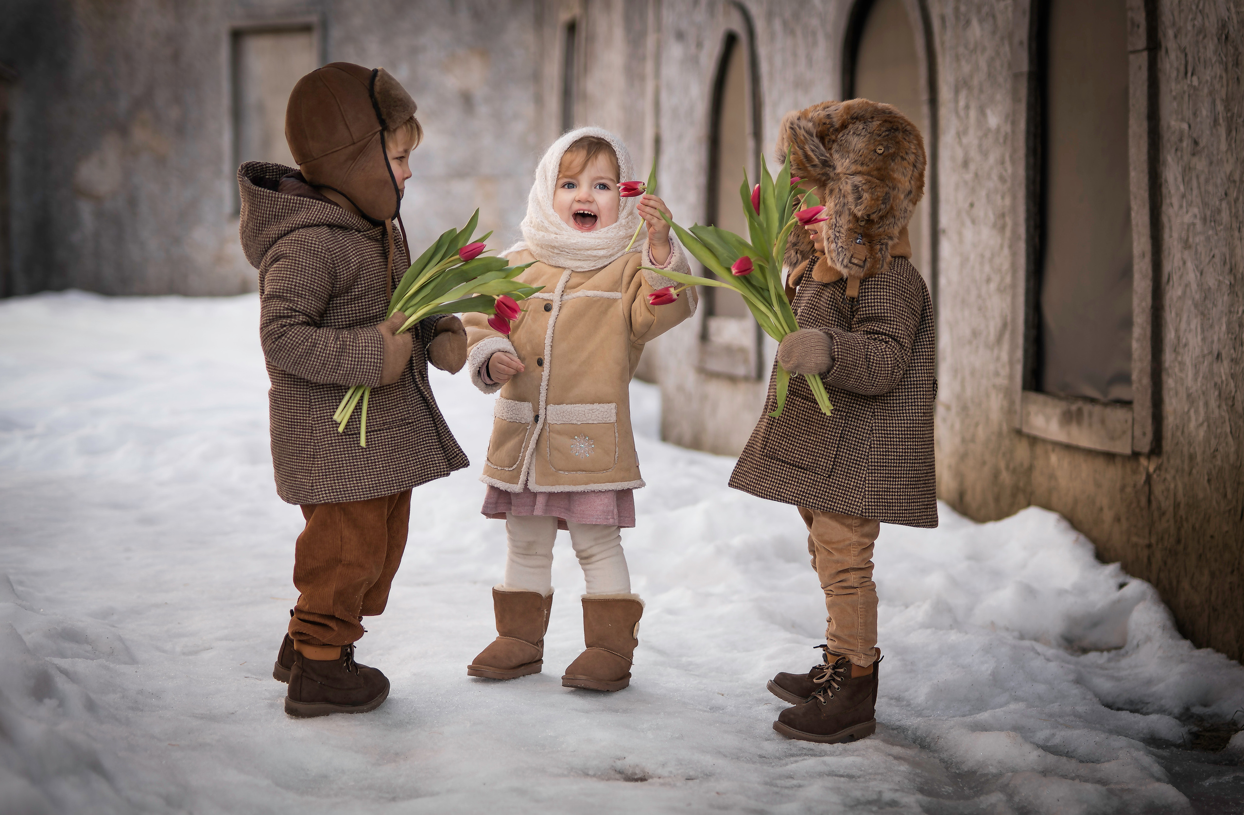 Малыши и тюльпаны. Семейный фотограф Ефремова Виктория