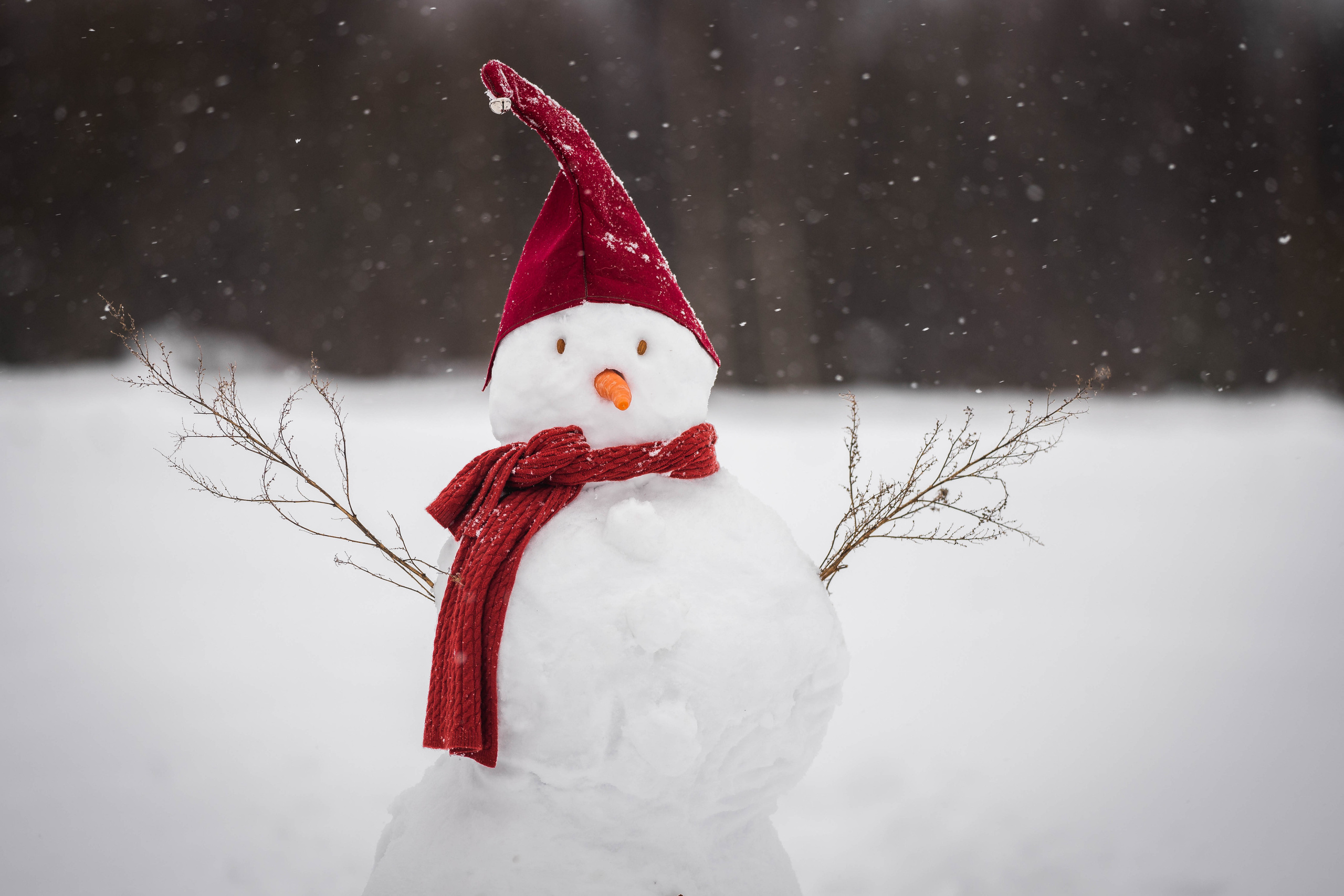 Январь, снеговик, дети. Семейный фотограф Ефремова Виктория