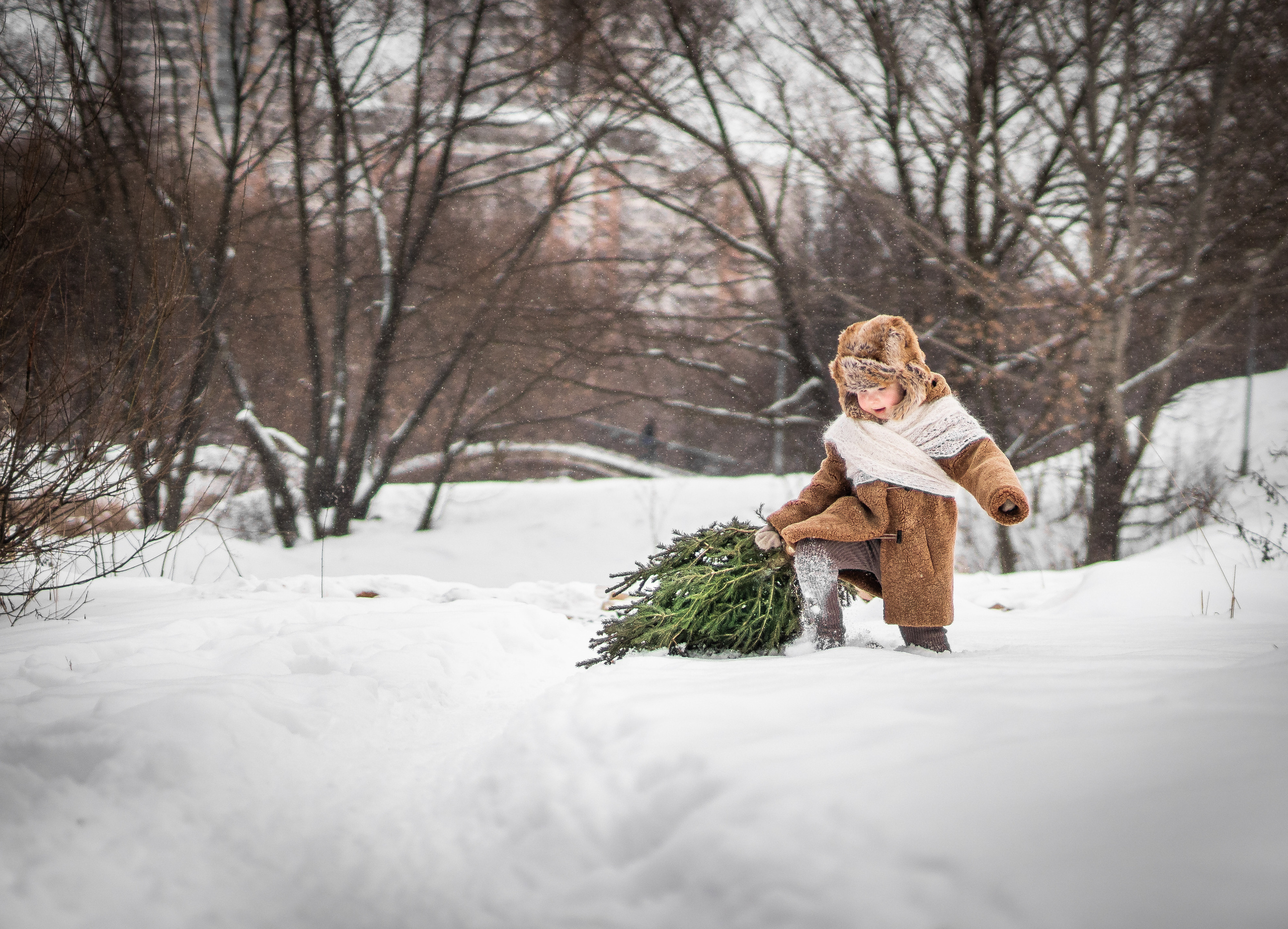 26.12.21. Семейный фотограф Ефремова Виктория