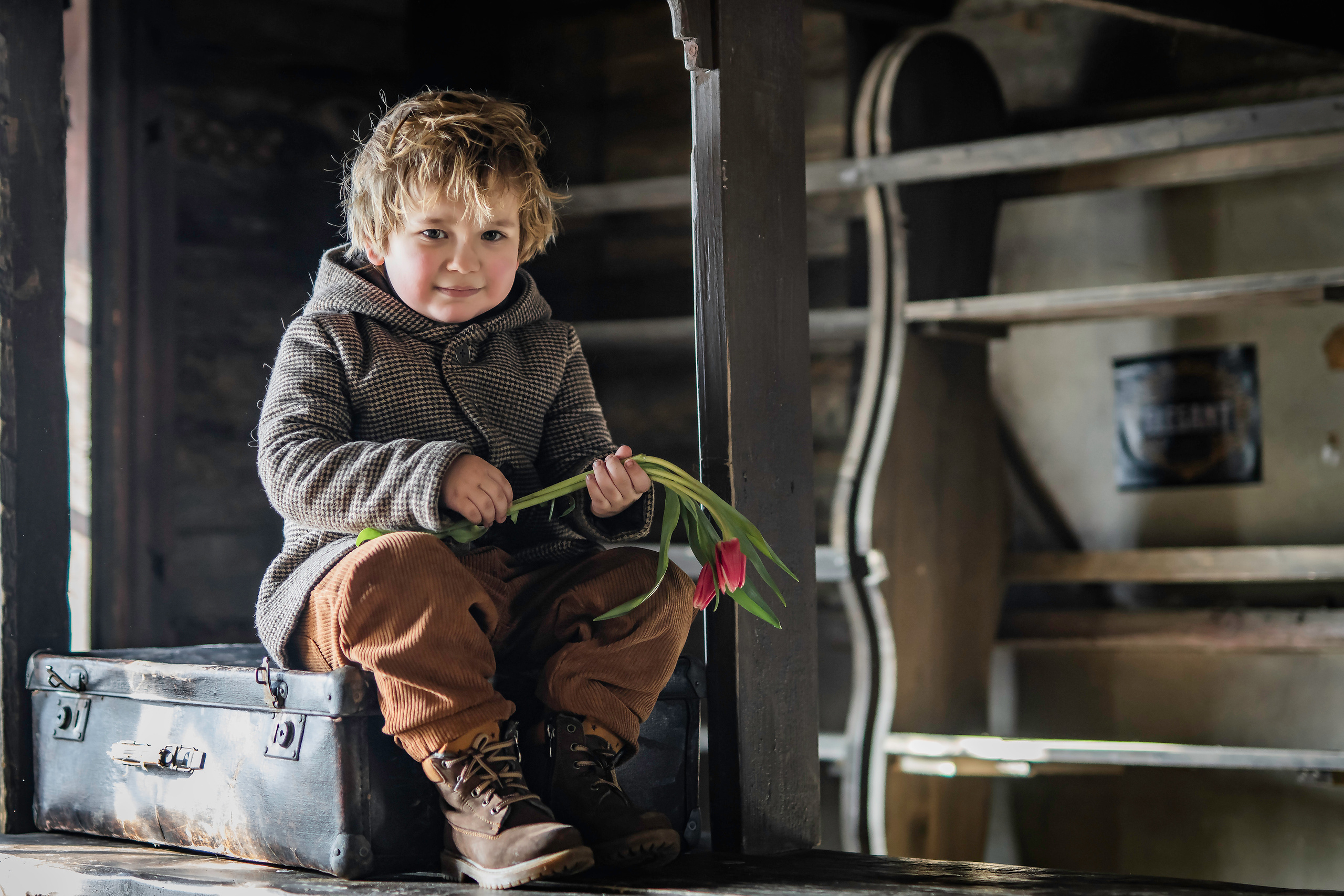 Малыши и тюльпаны. Семейный фотограф Ефремова Виктория