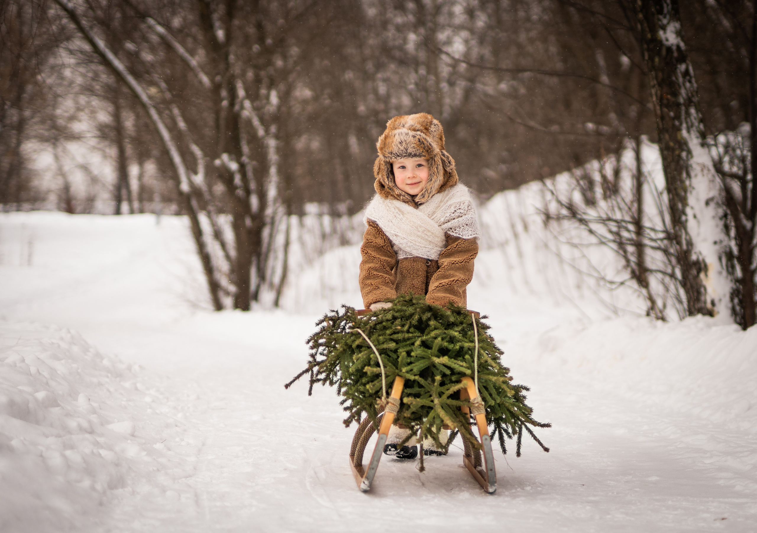 26.12.21. Семейный фотограф Ефремова Виктория