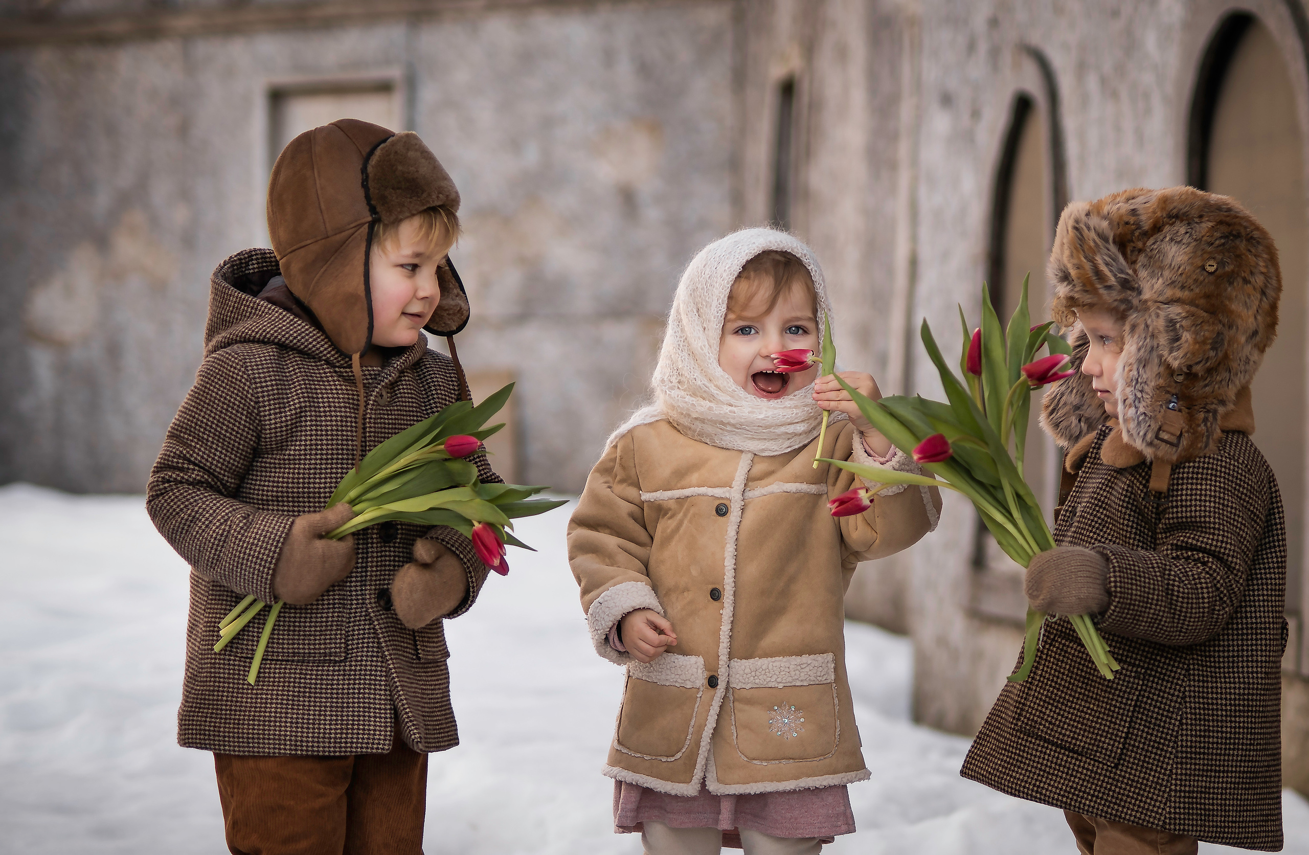 Малыши и тюльпаны. Семейный фотограф Ефремова Виктория