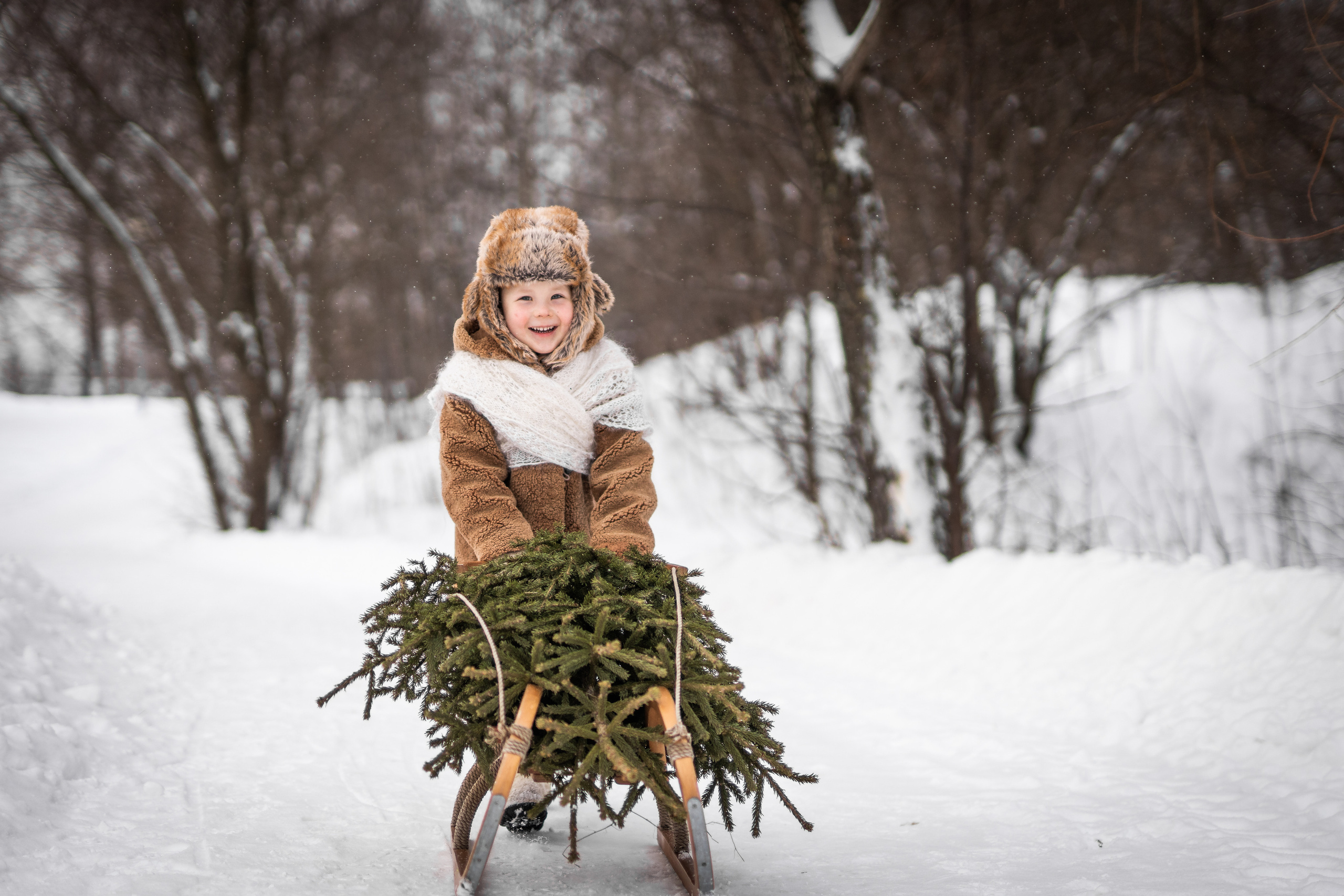 26.12.21. Семейный фотограф Ефремова Виктория
