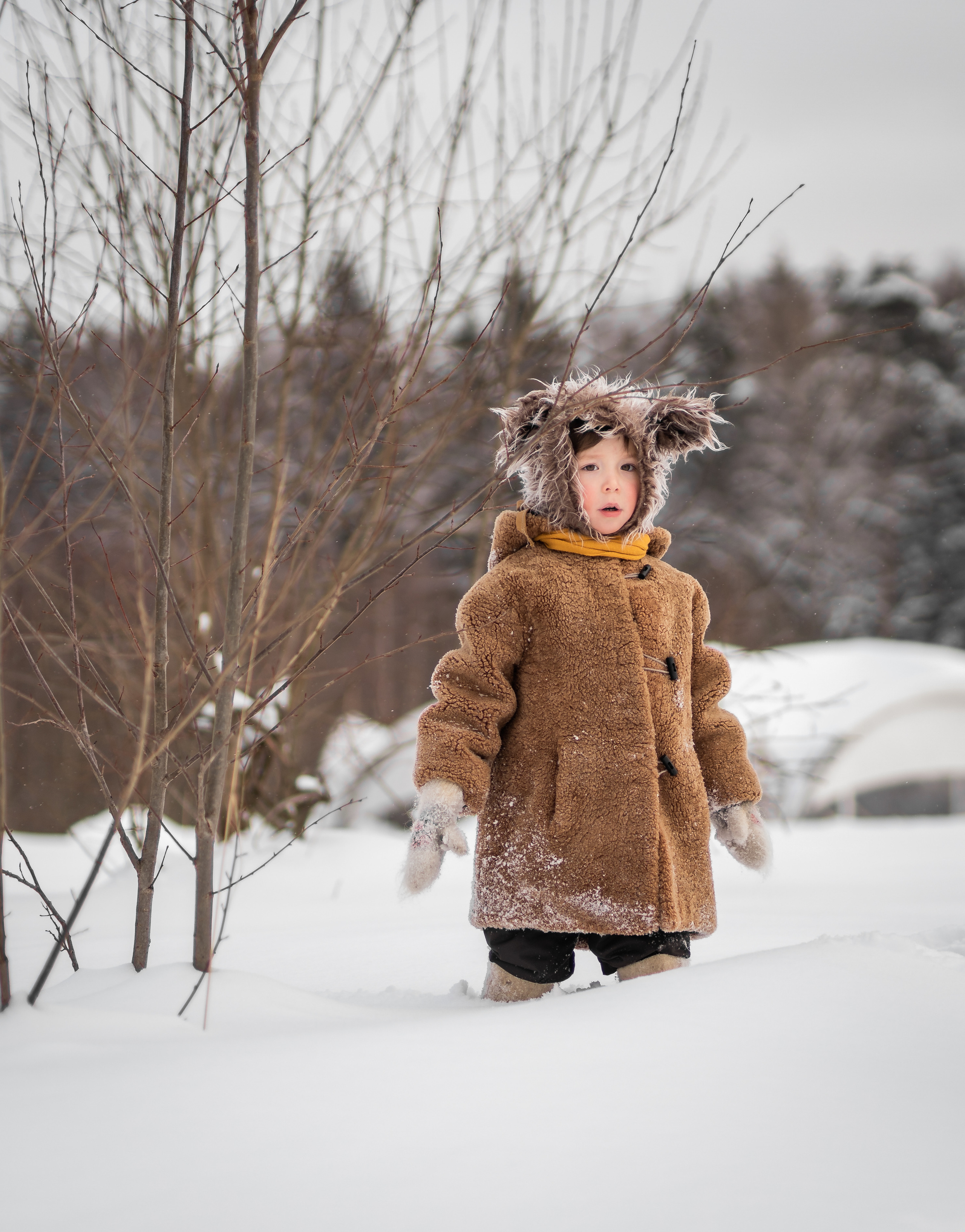Ольга, Антон и Лёвушка. Семейный фотограф Ефремова Виктория